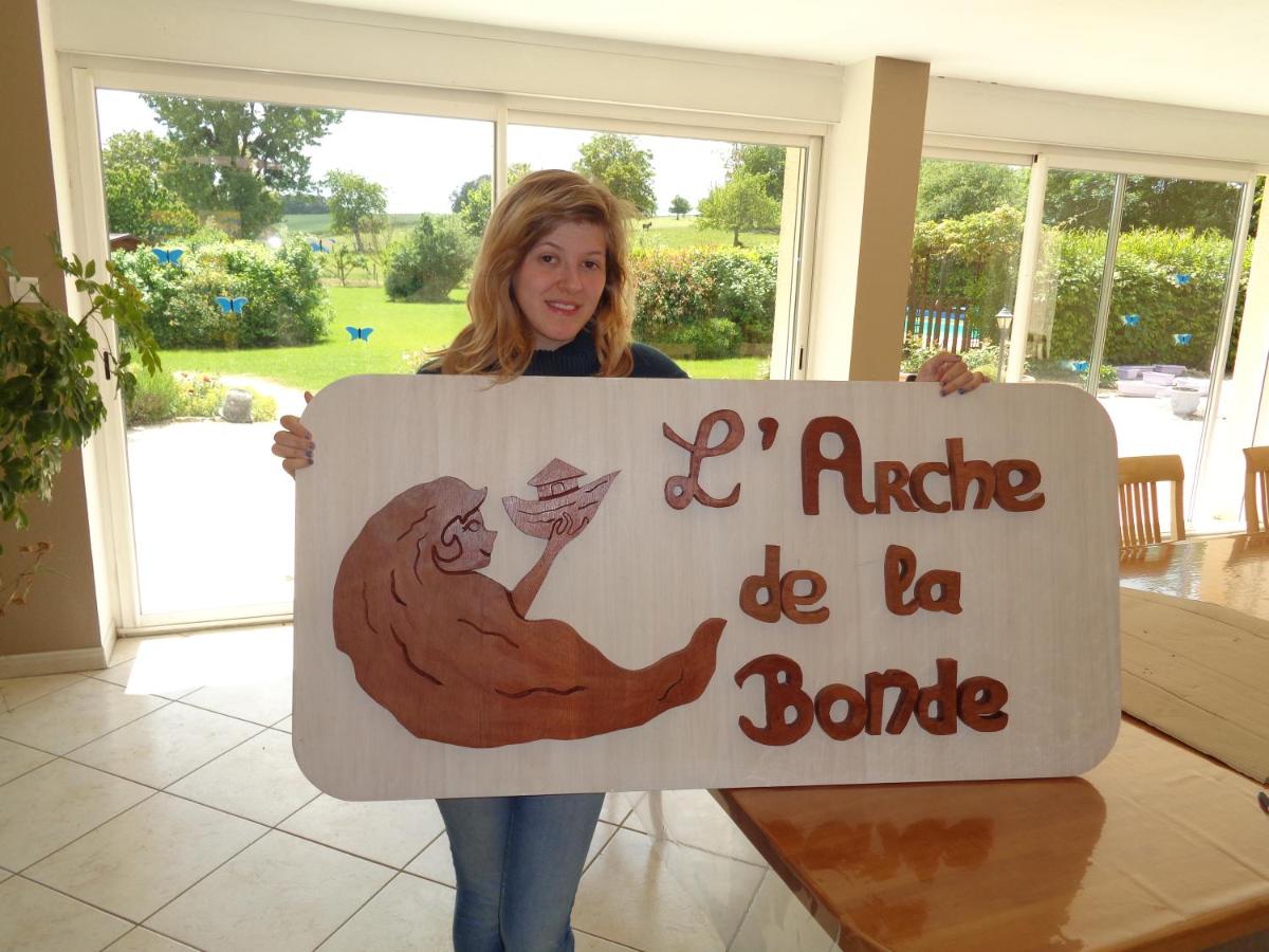 Photo 7