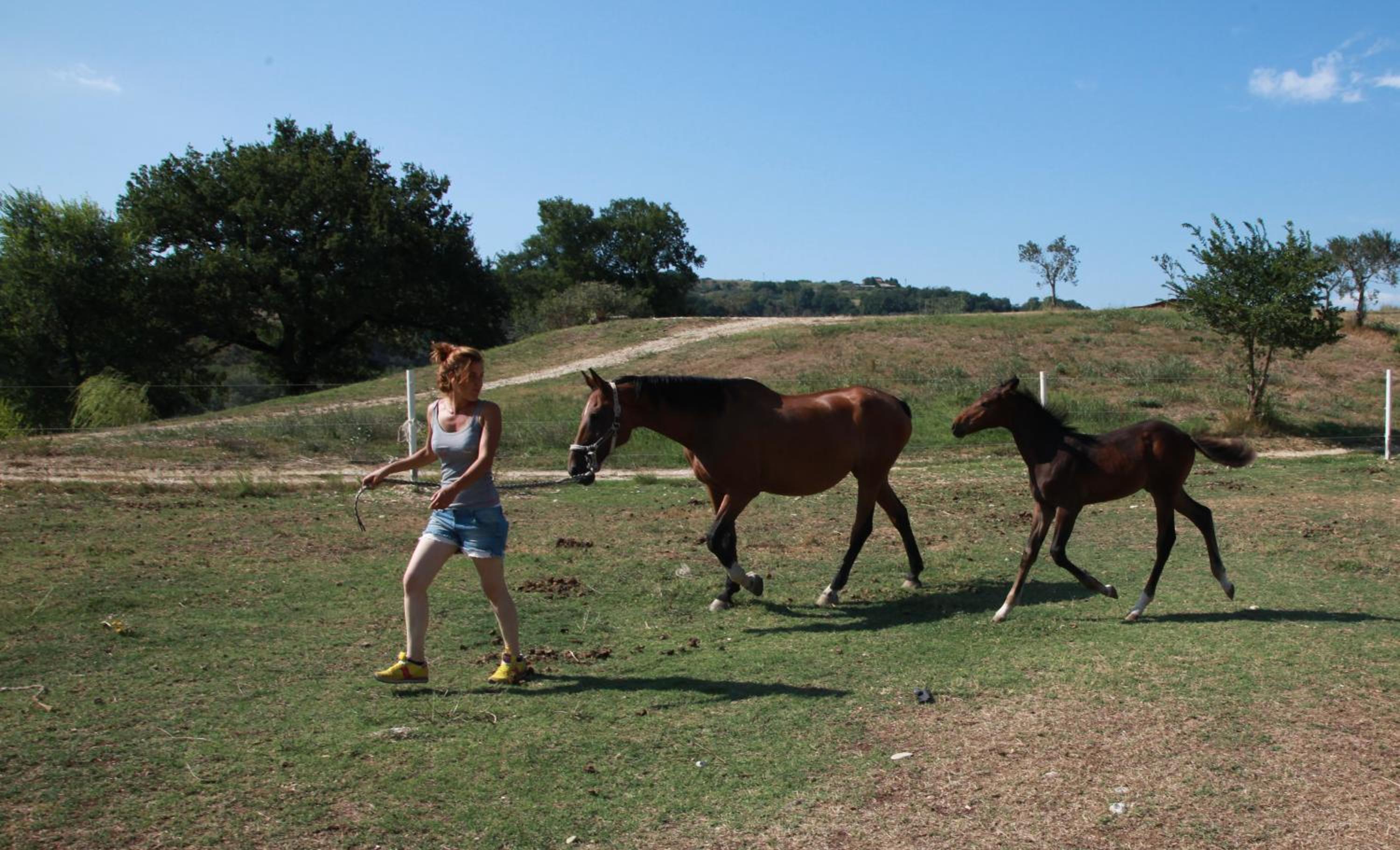 Podere Calledro