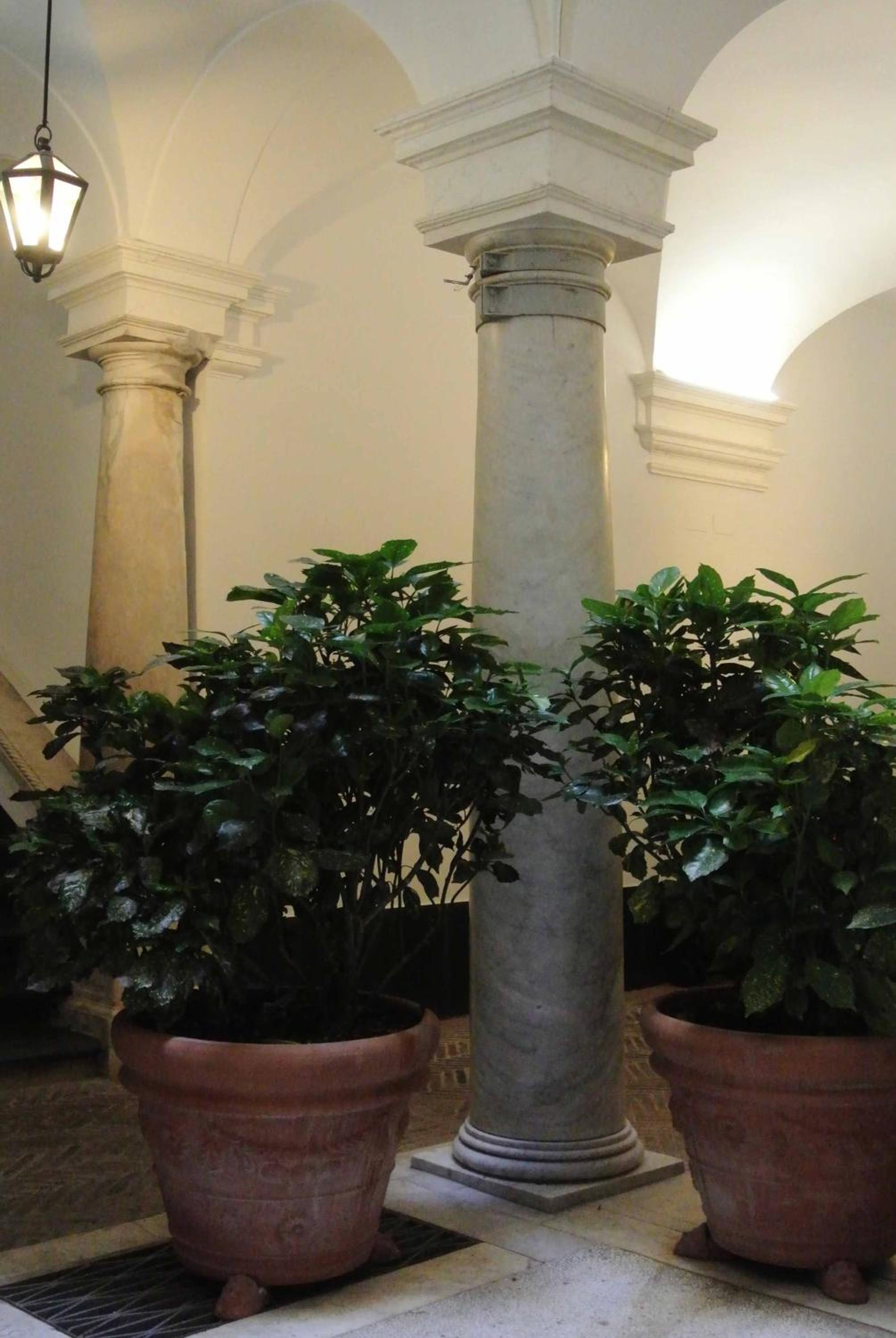 Palazzo Zecchino B&B