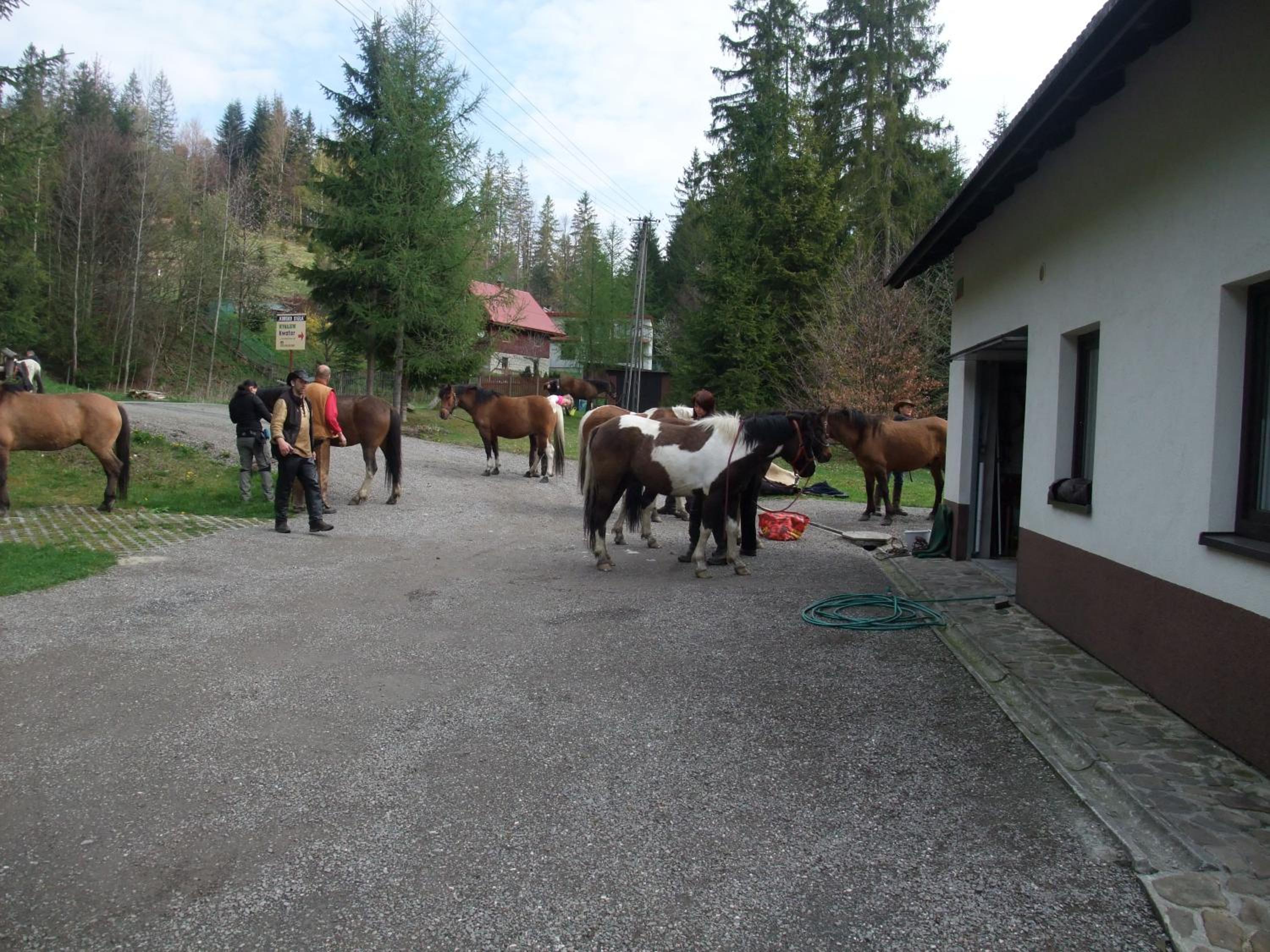 Photo 30