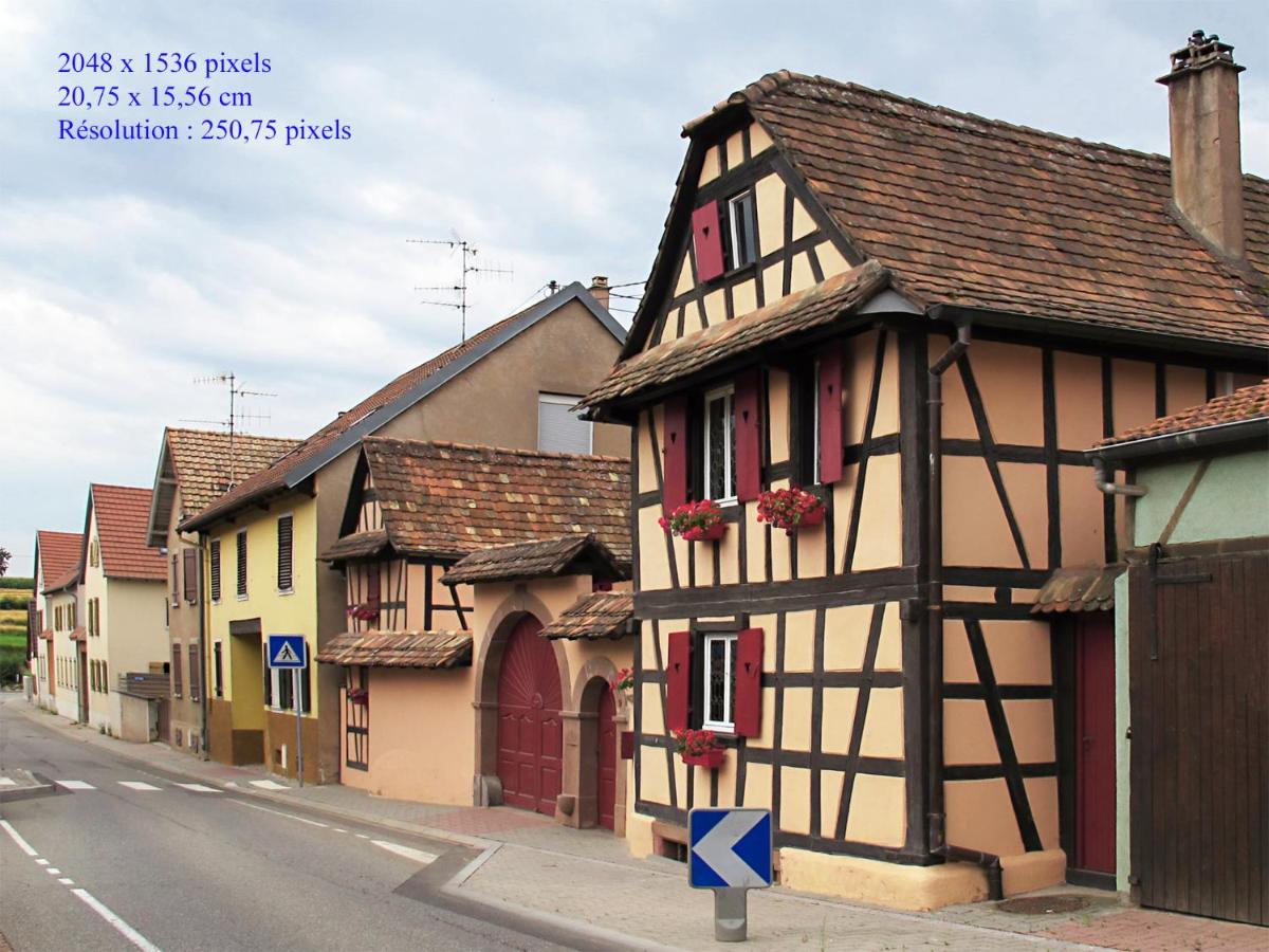 La Cour des Amis view 2