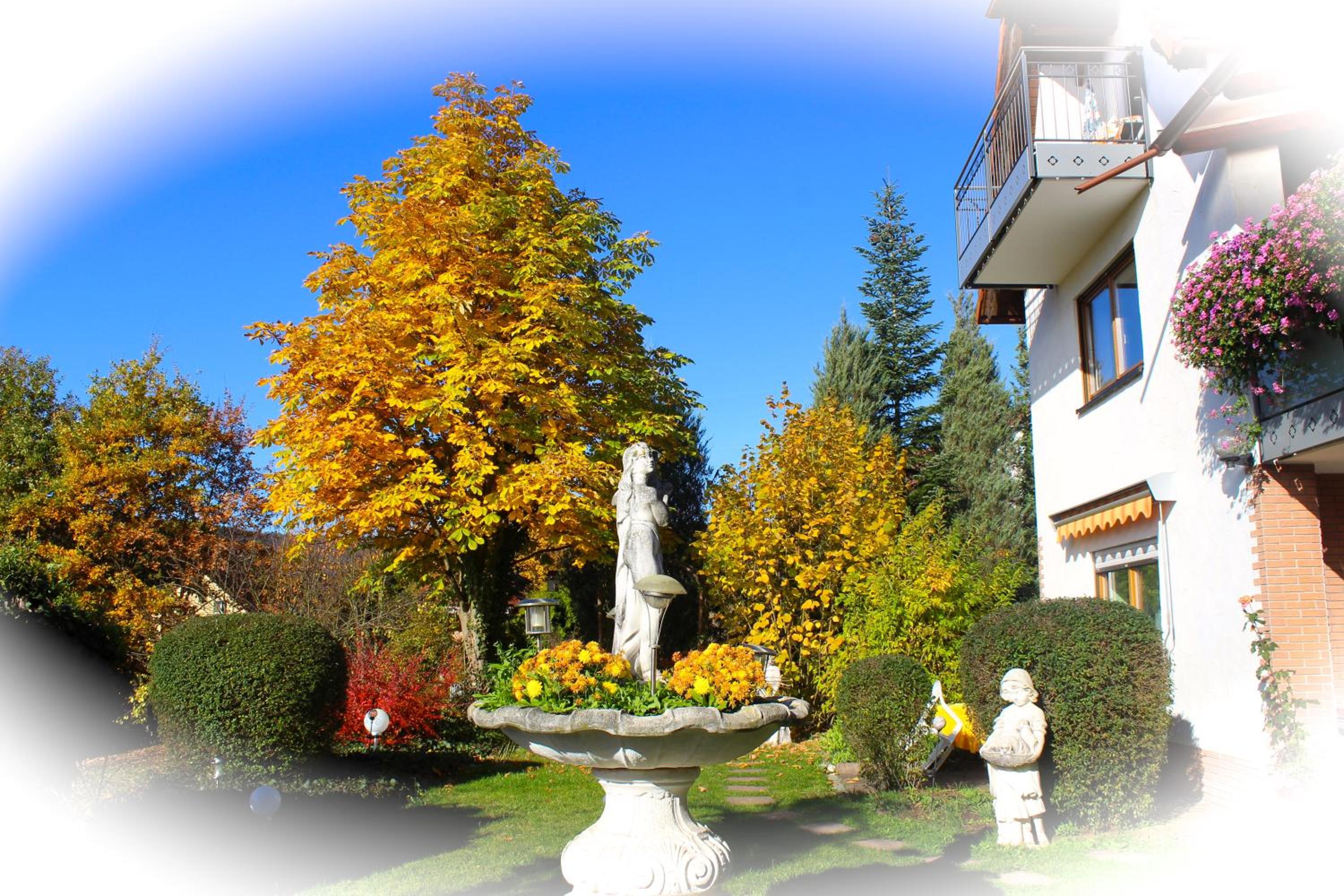 Photo 64