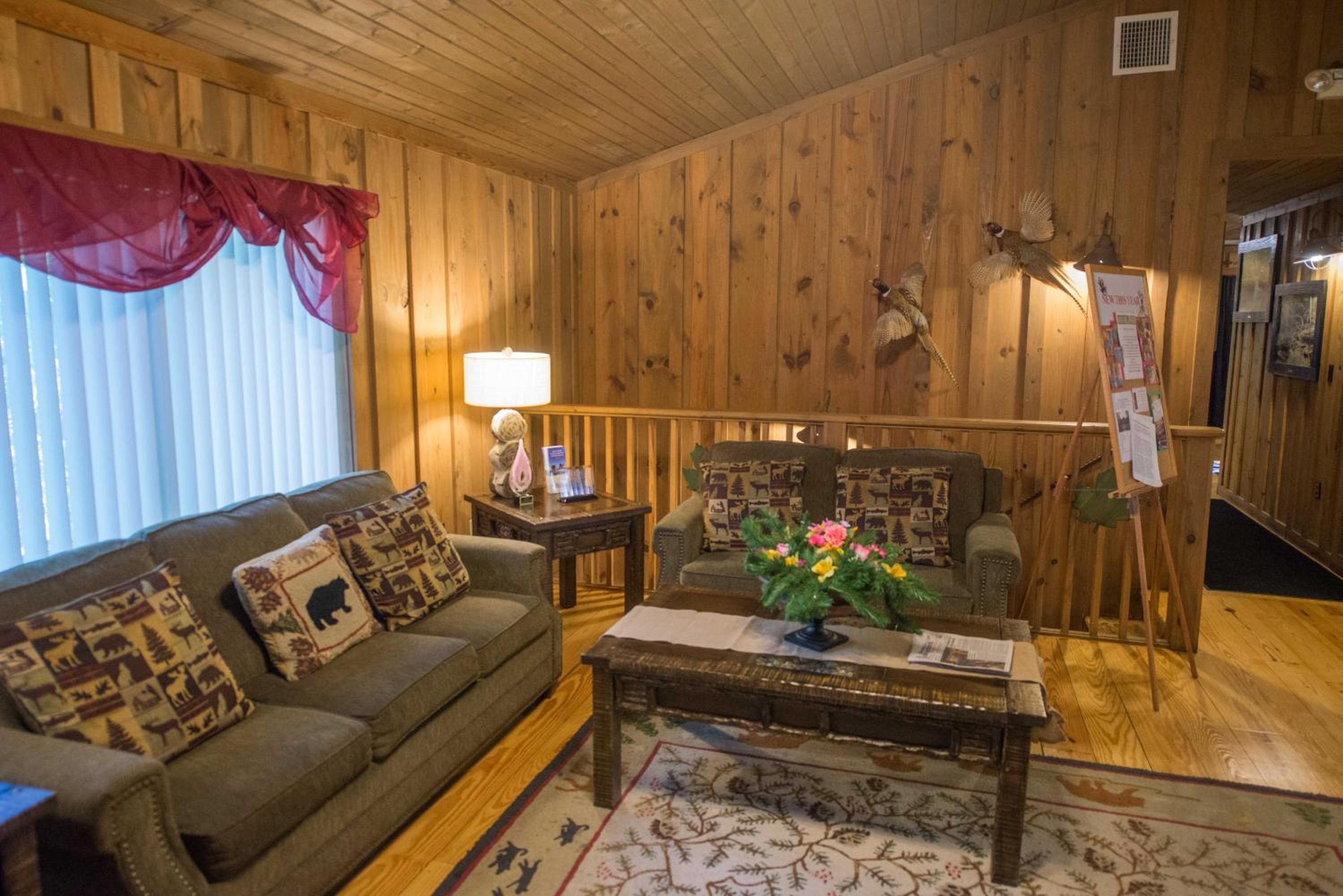 Photo 85