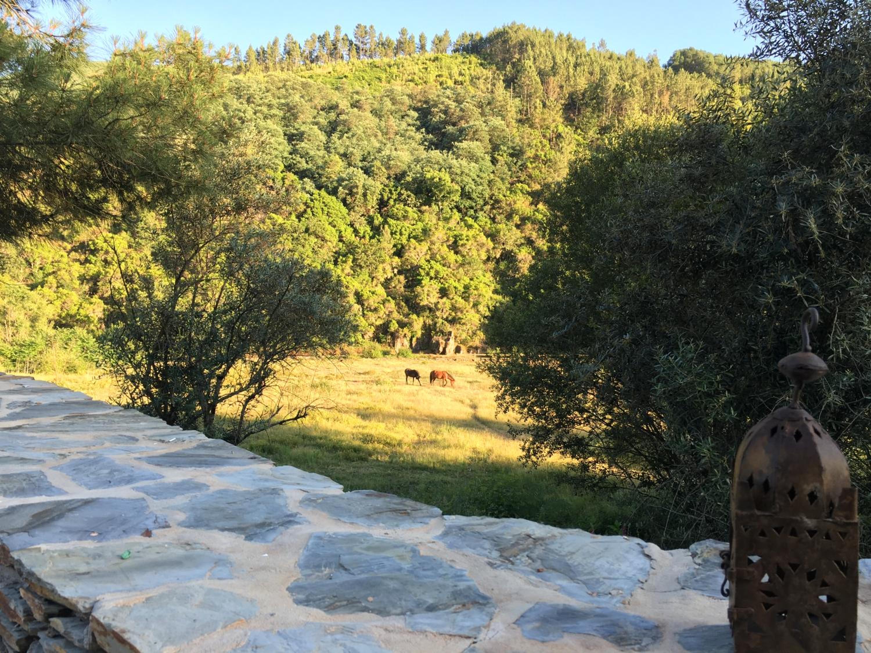 Quinta das Levadas - Country House & Nature
