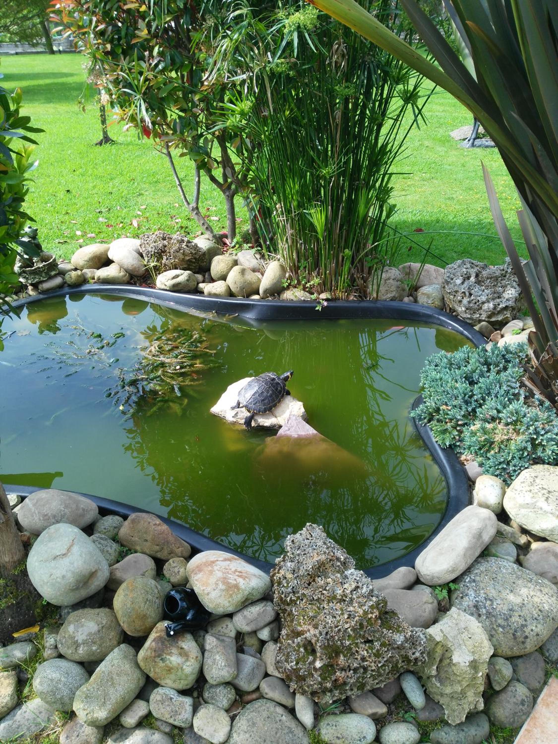 Photo 25