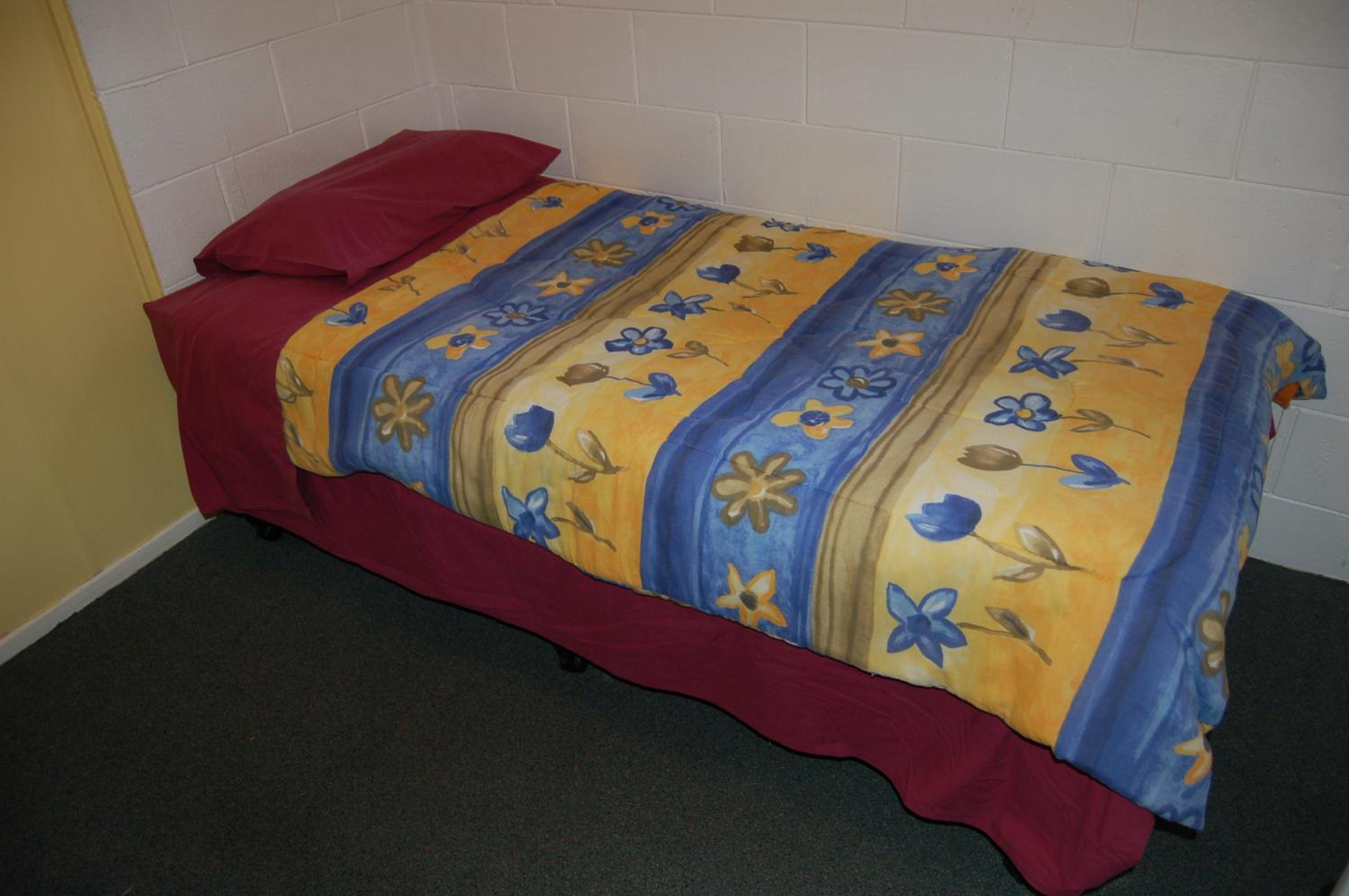 Egmont Eco Leisure Park & Backpackers