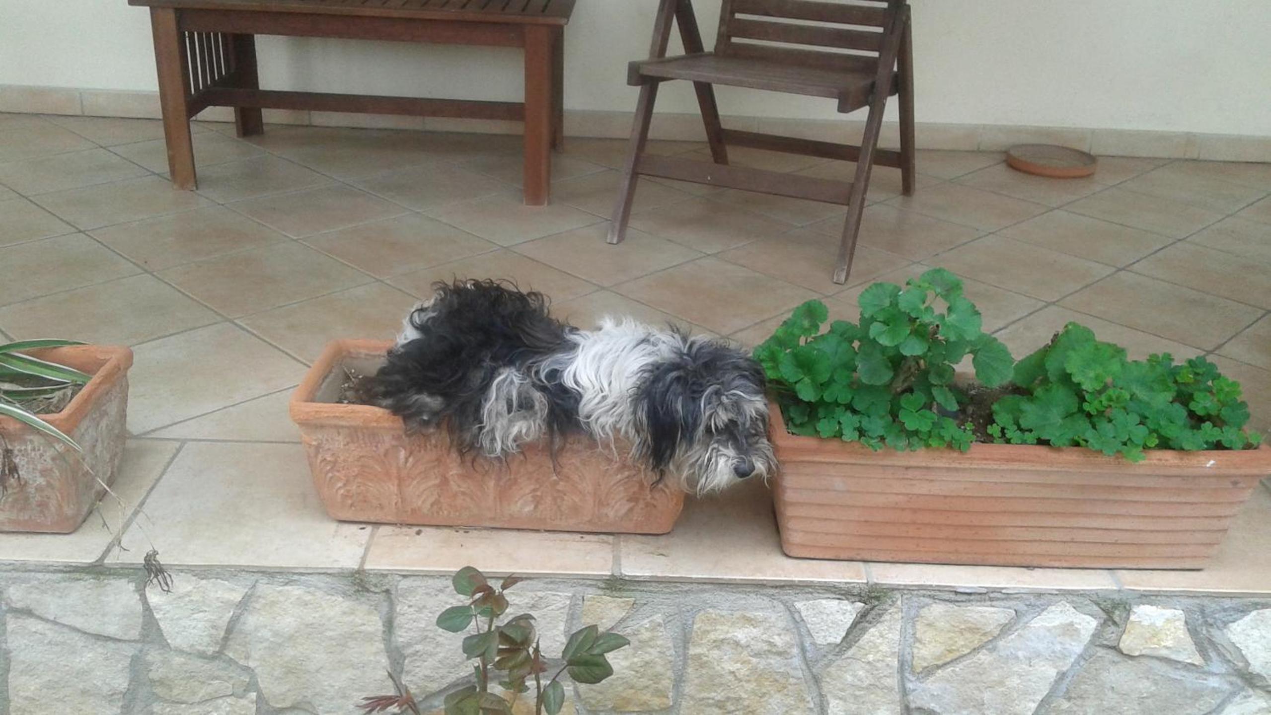 B&B RoLu