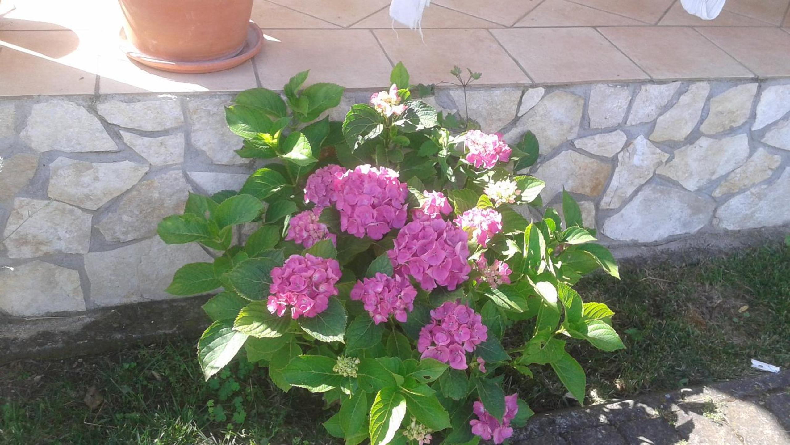 B&B RoLu