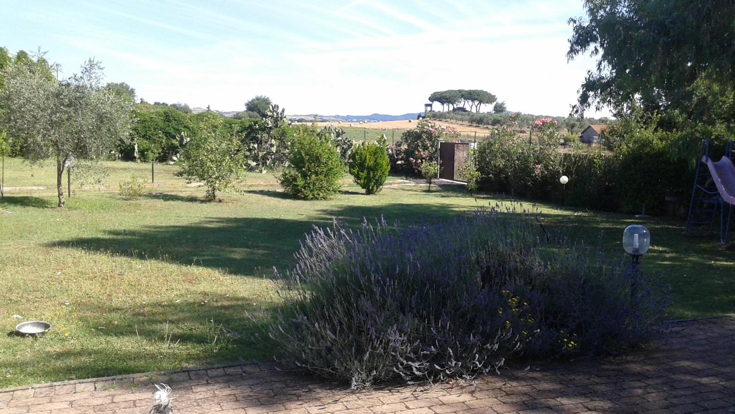 B&B RoLu