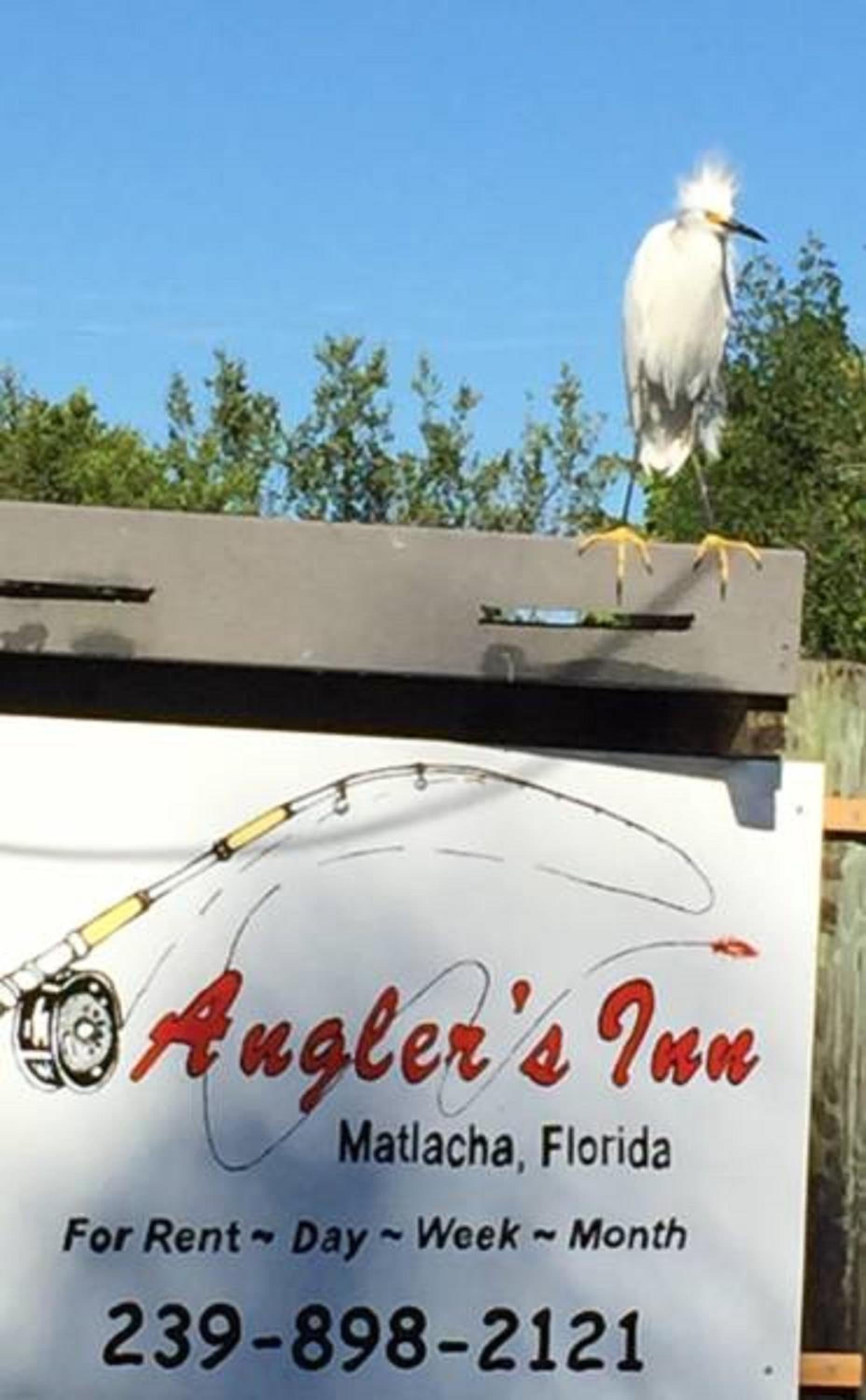 Angler's Inn