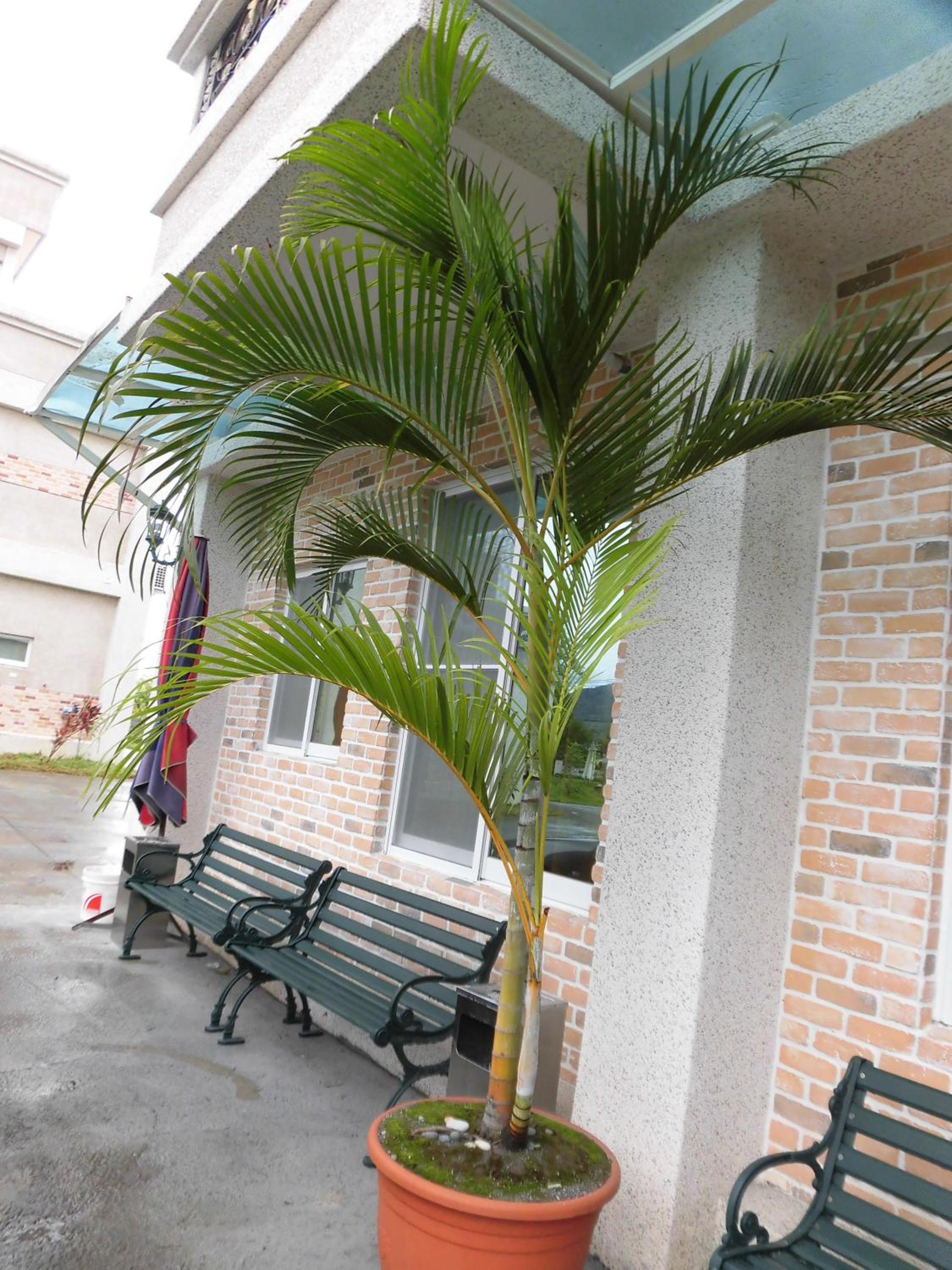 Shiang Ching Home Stay view 5