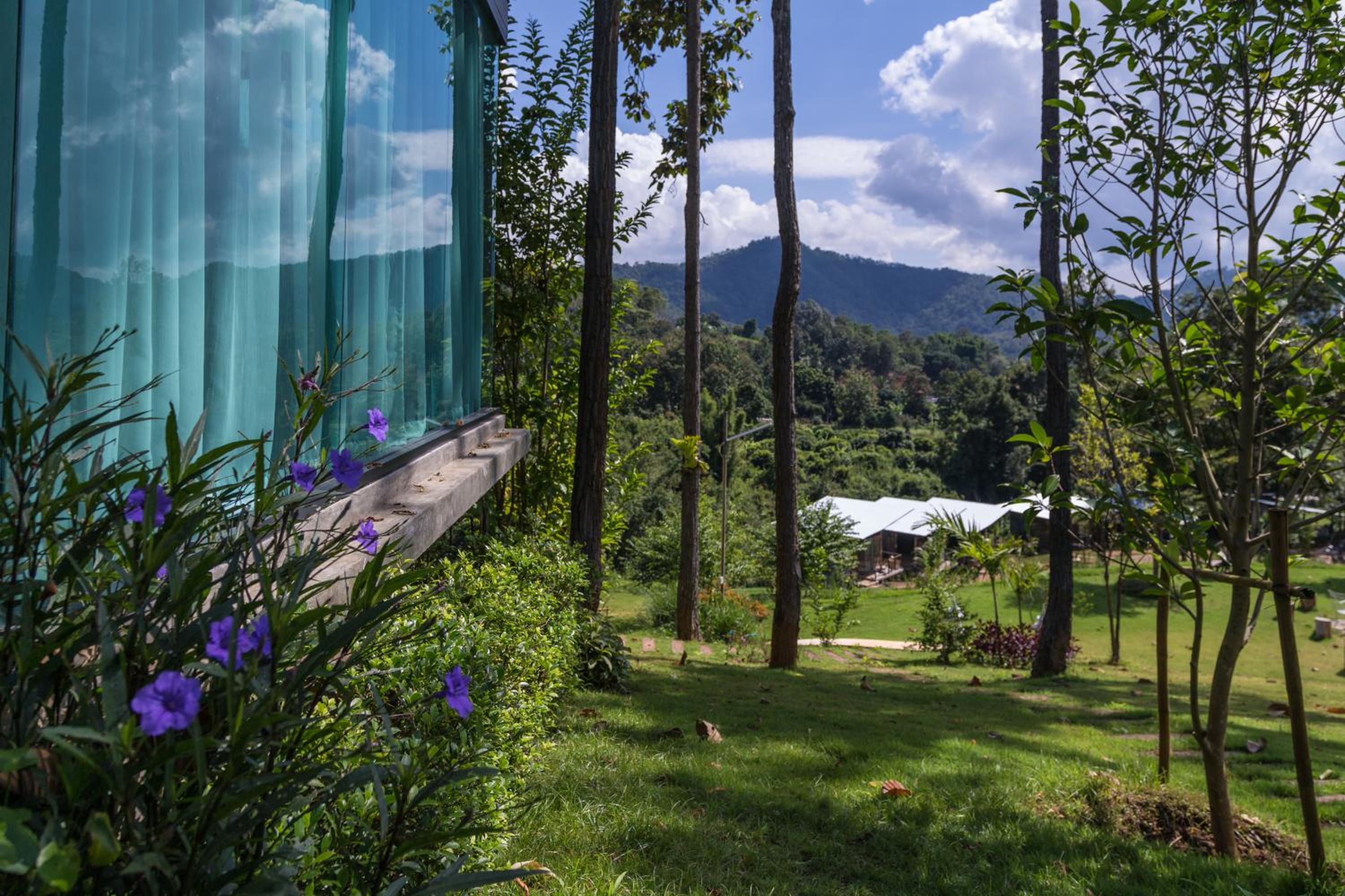 Phu Pha View Doi