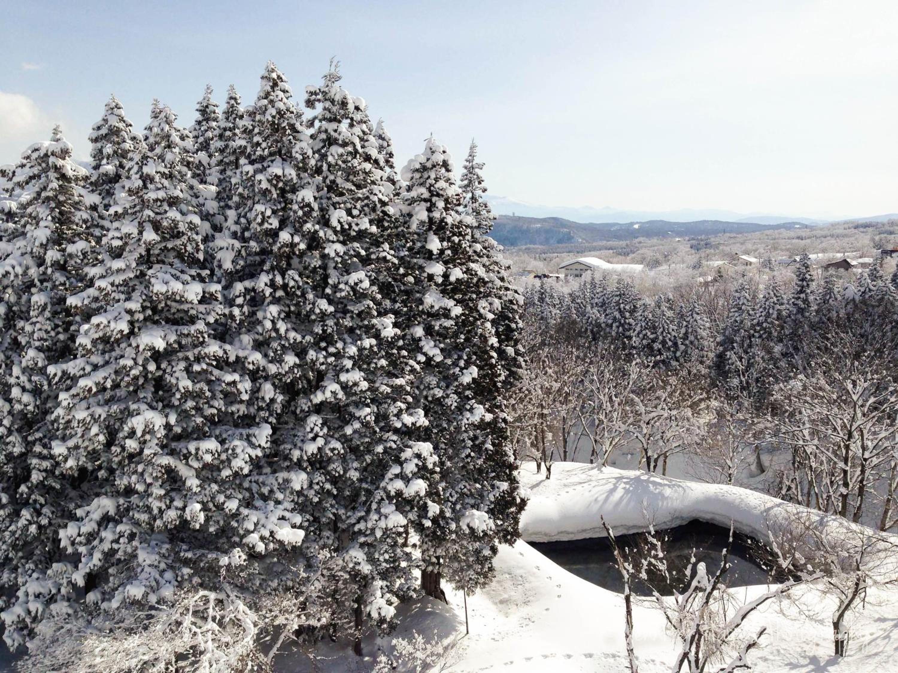 Morino Lodge - Myoko