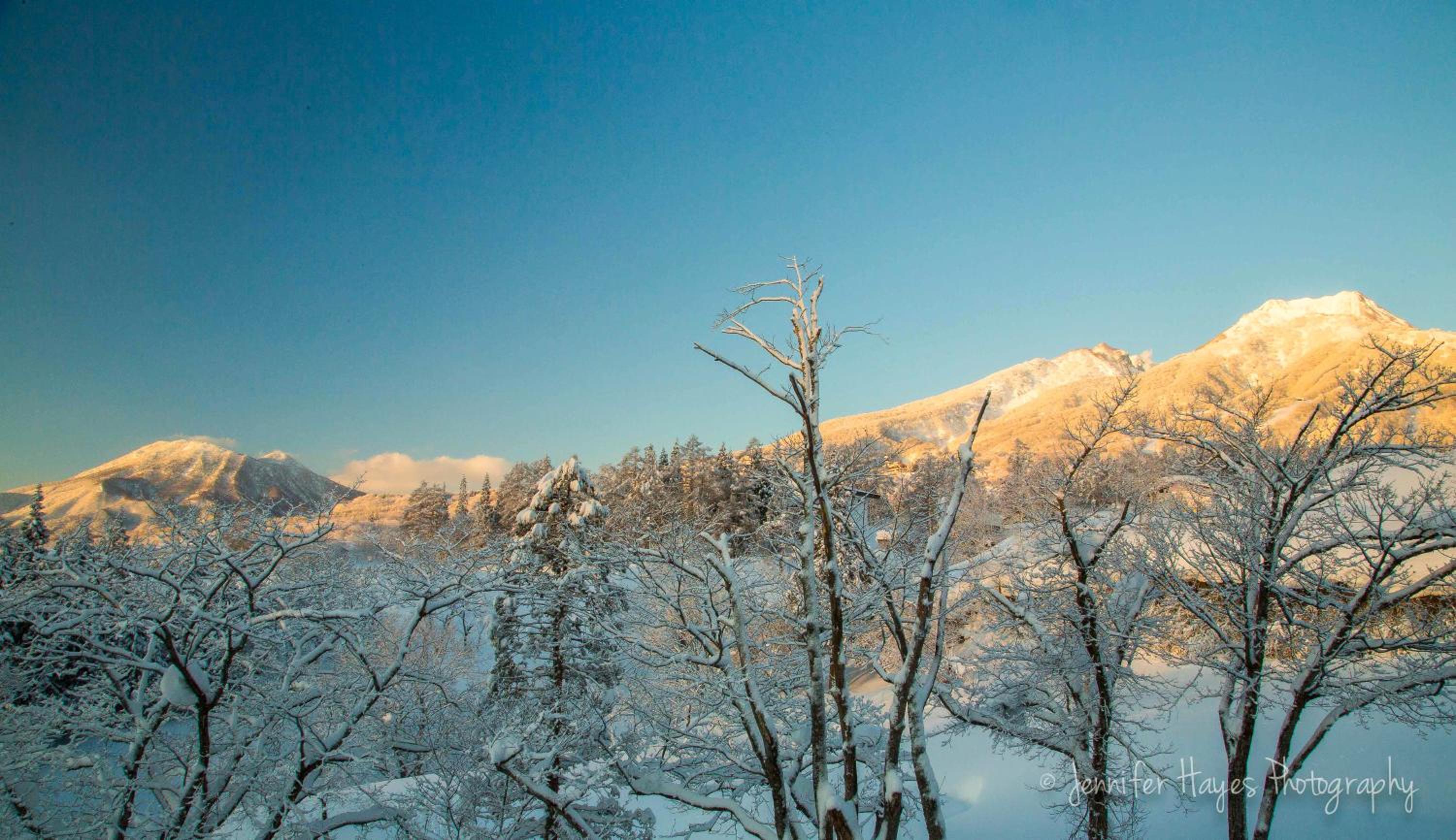 Morino Lodge - Myoko