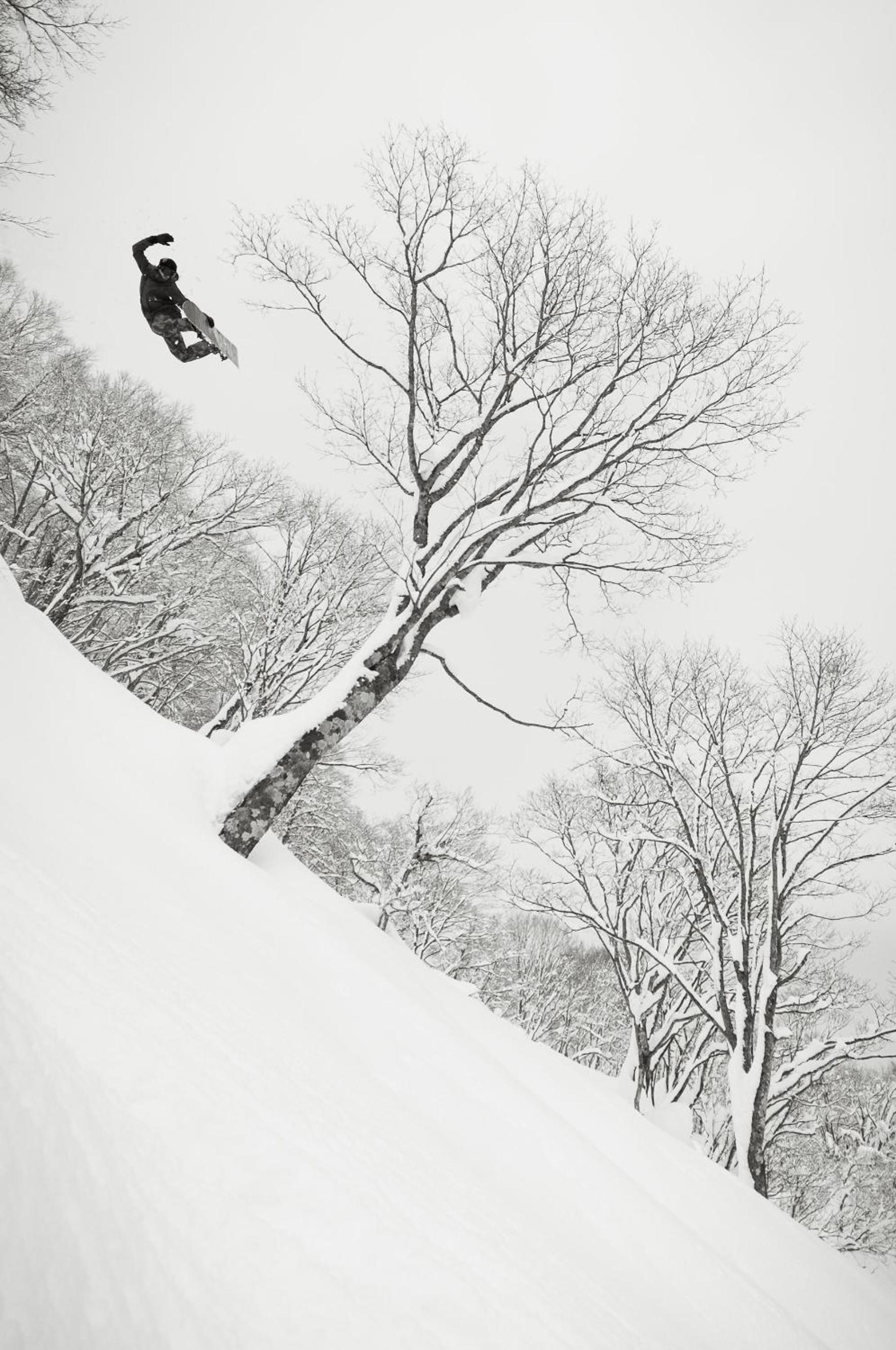 Morino Lodge - Myoko