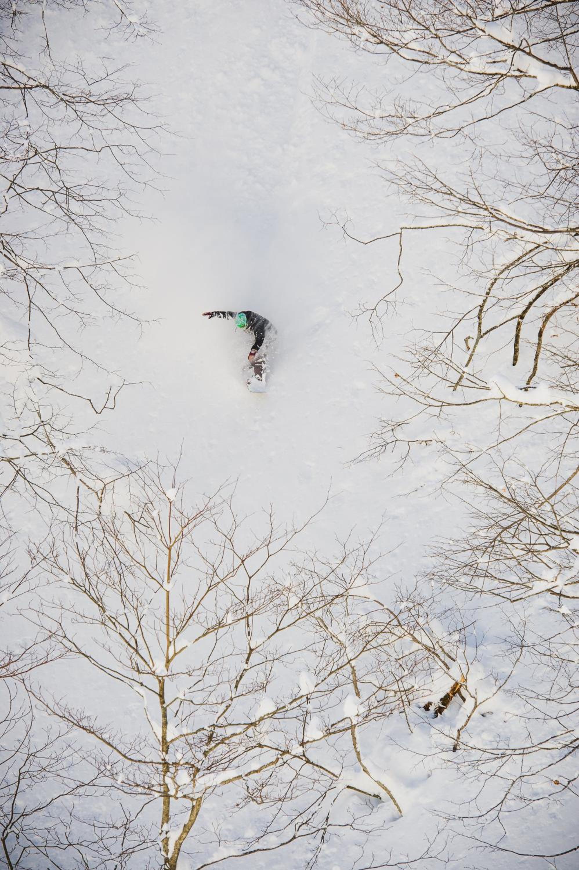 Morino Lodge - Myoko