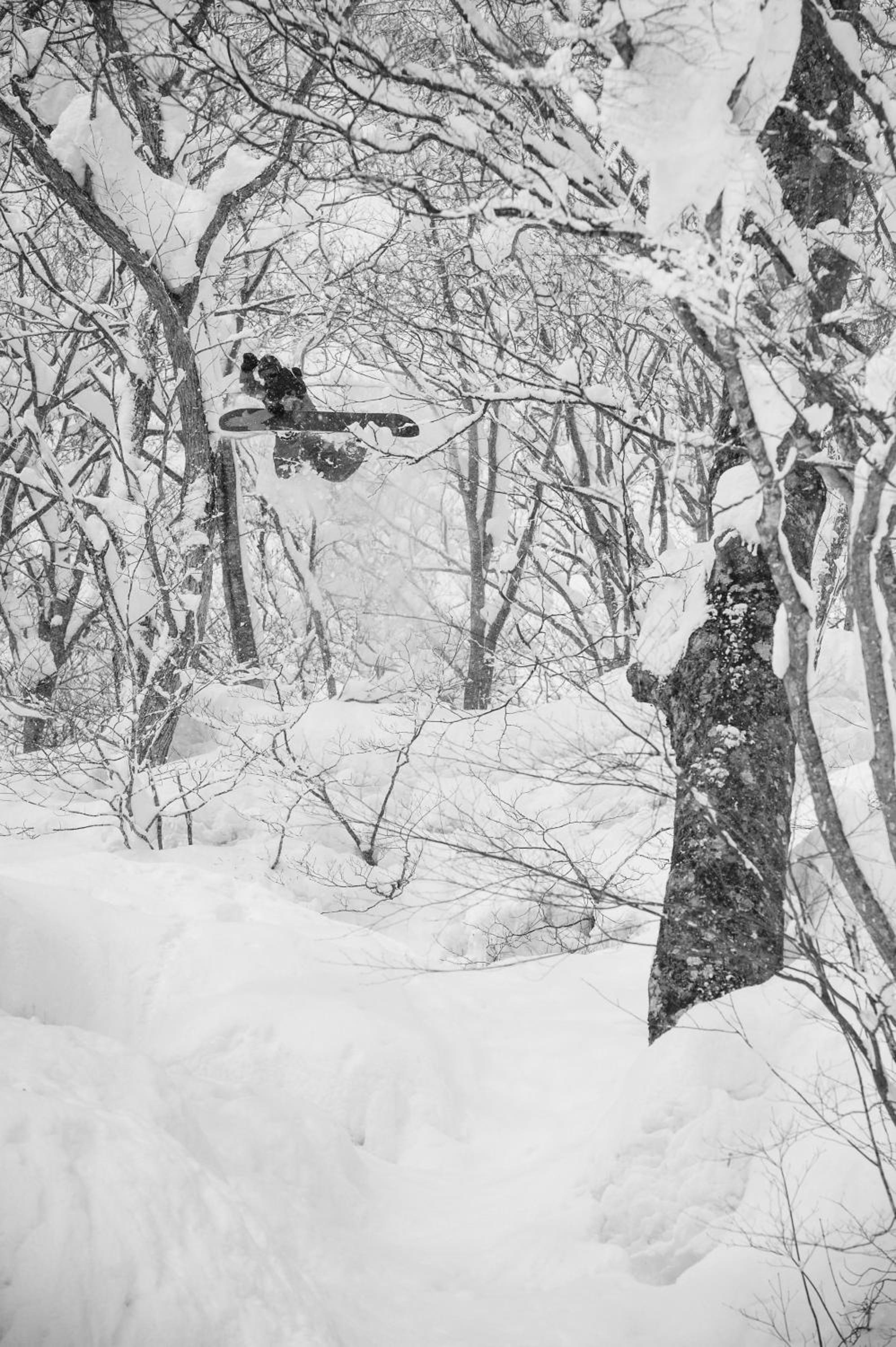 Morino Lodge - Myoko