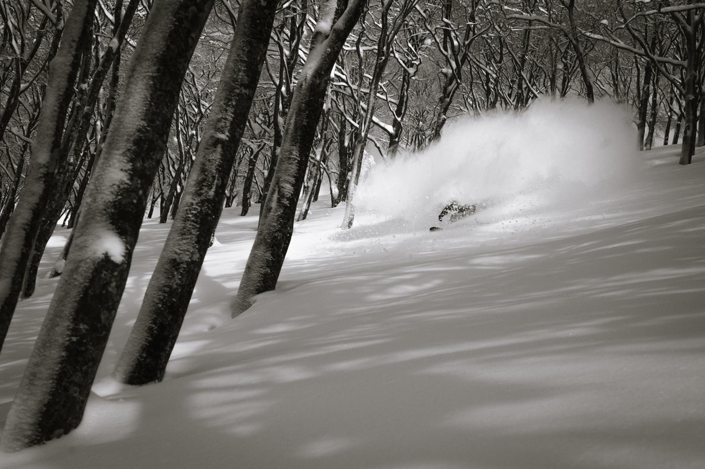 Morino Lodge - Myoko