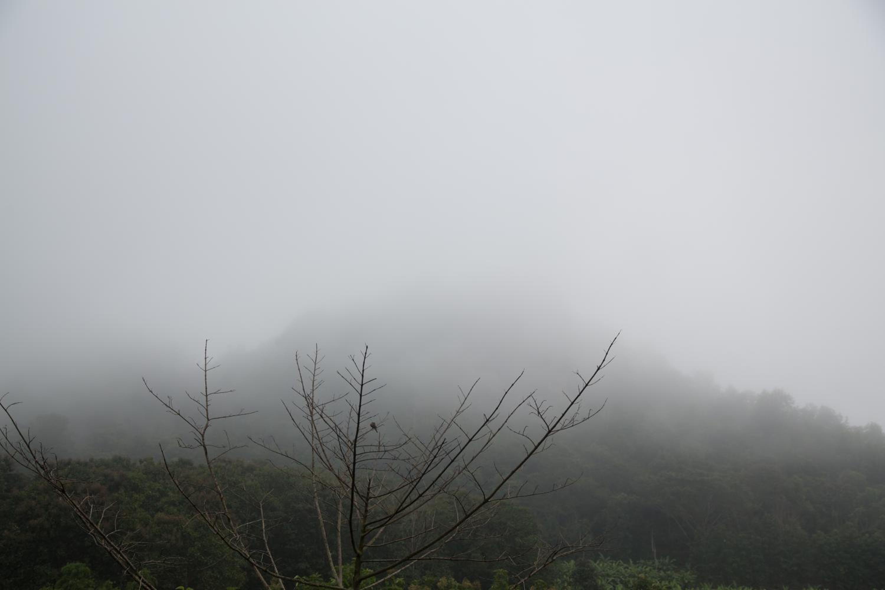 Phu Pha View Doi