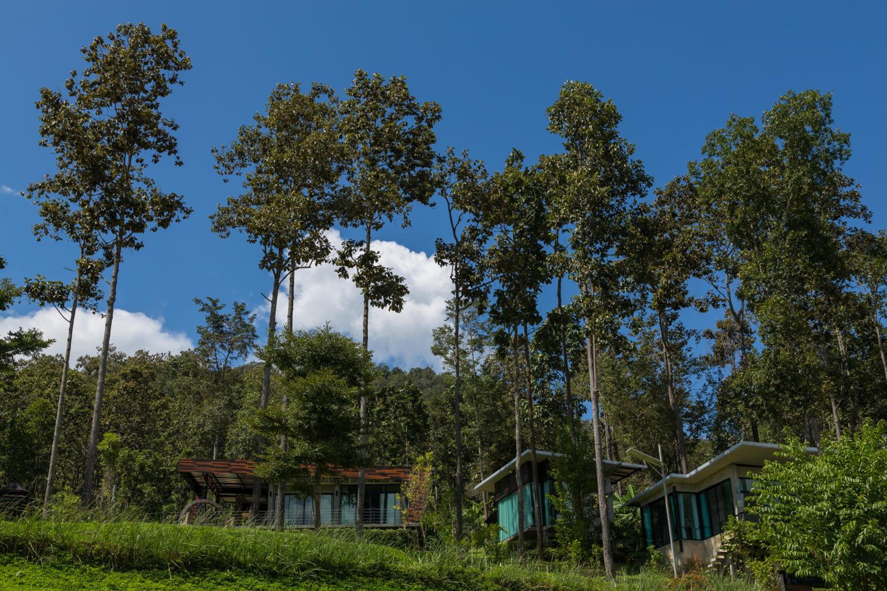 Phu Pha View Doi