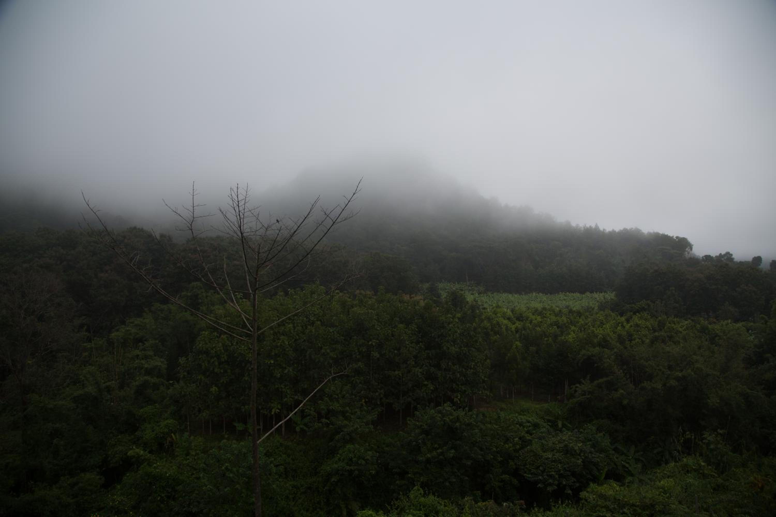 Phu Pha View Doi