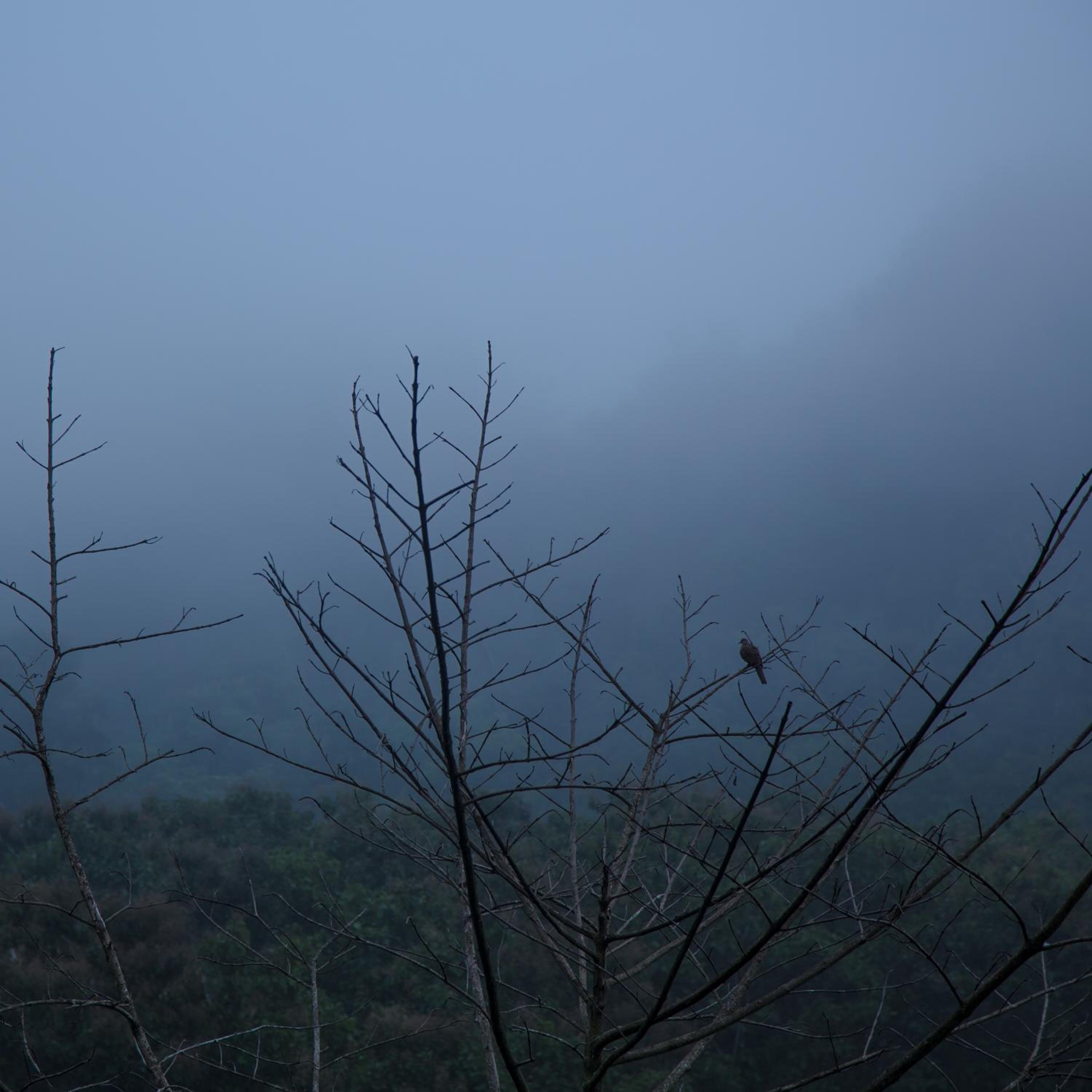 Phu Pha View Doi
