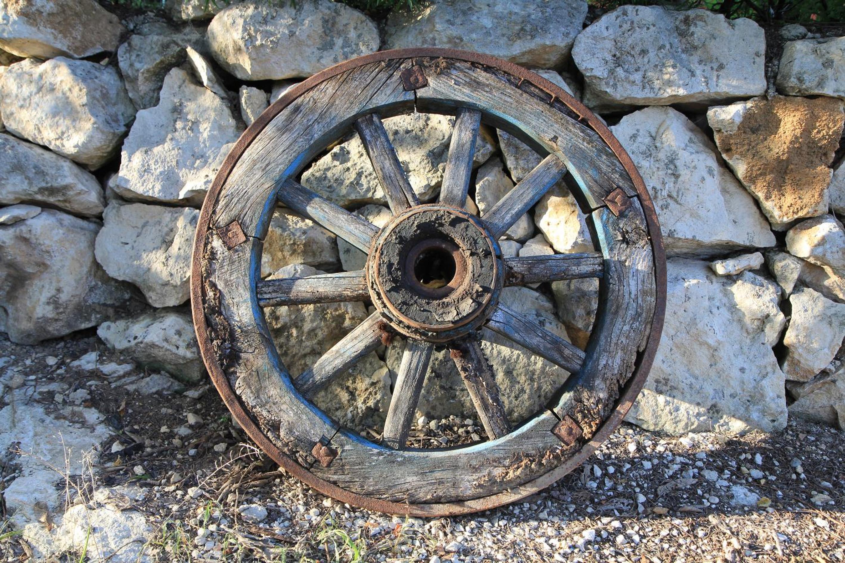 Photo 41