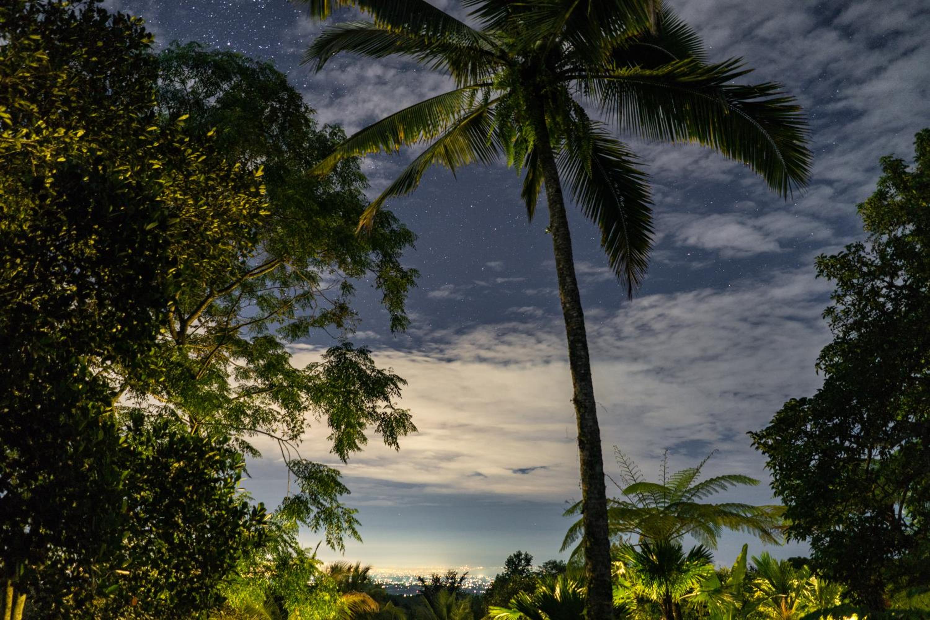 Alassari Plantation