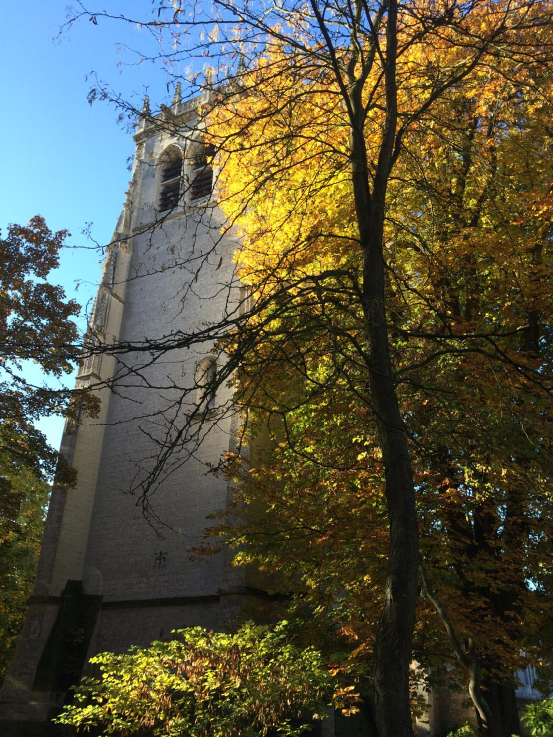 Photo 21