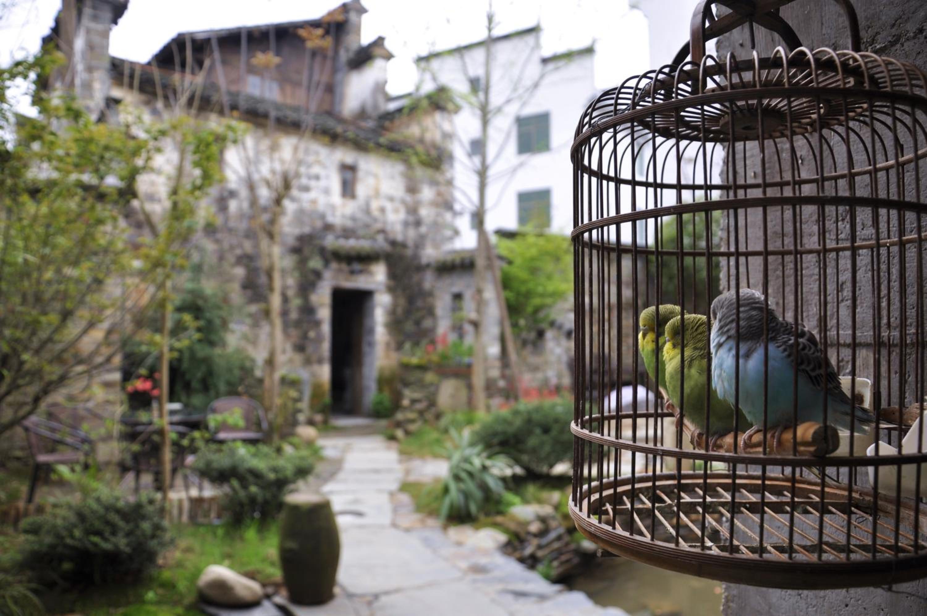 WuYuan QiYe YanXiang Guesthouse