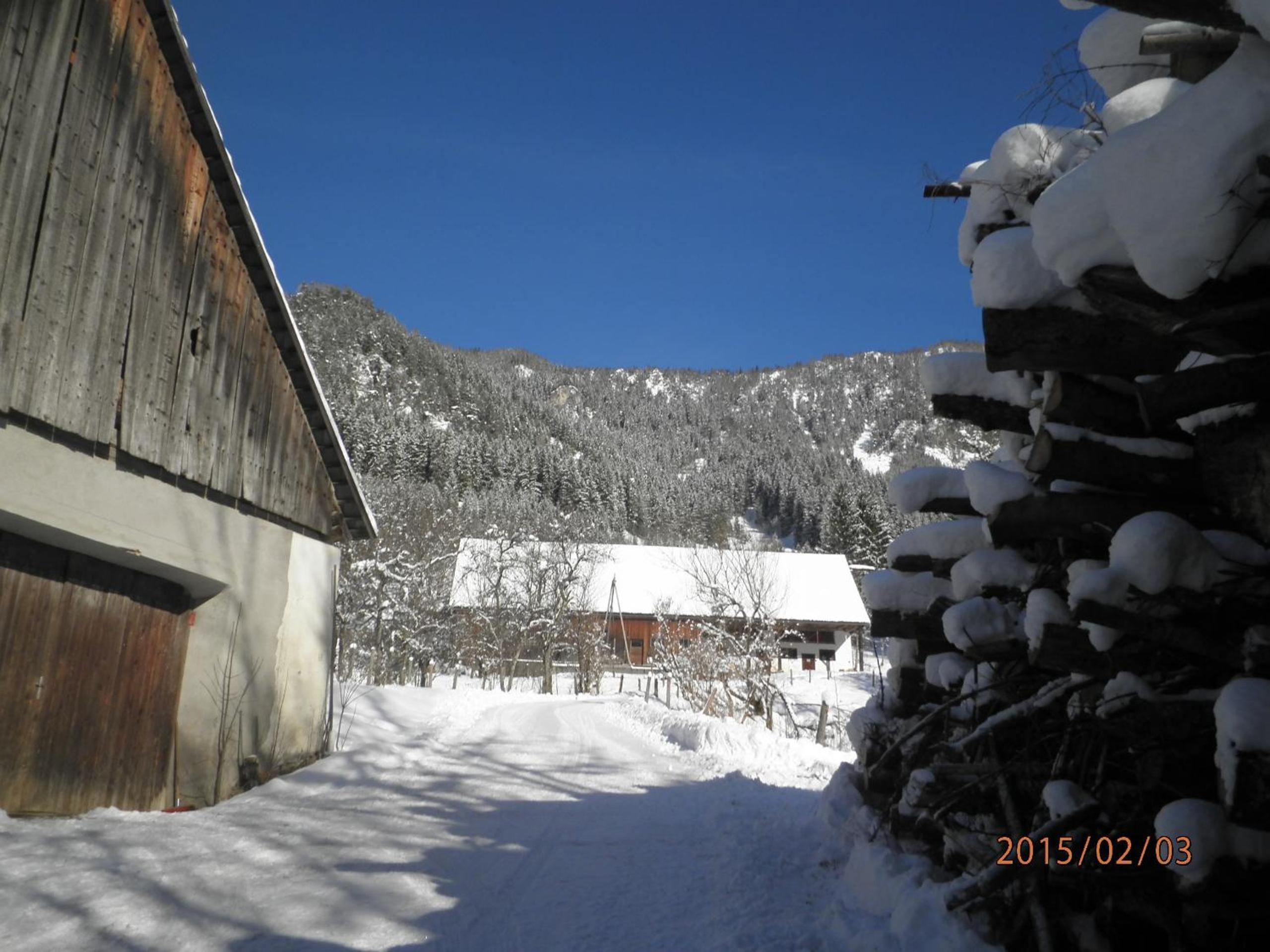 Photo 17