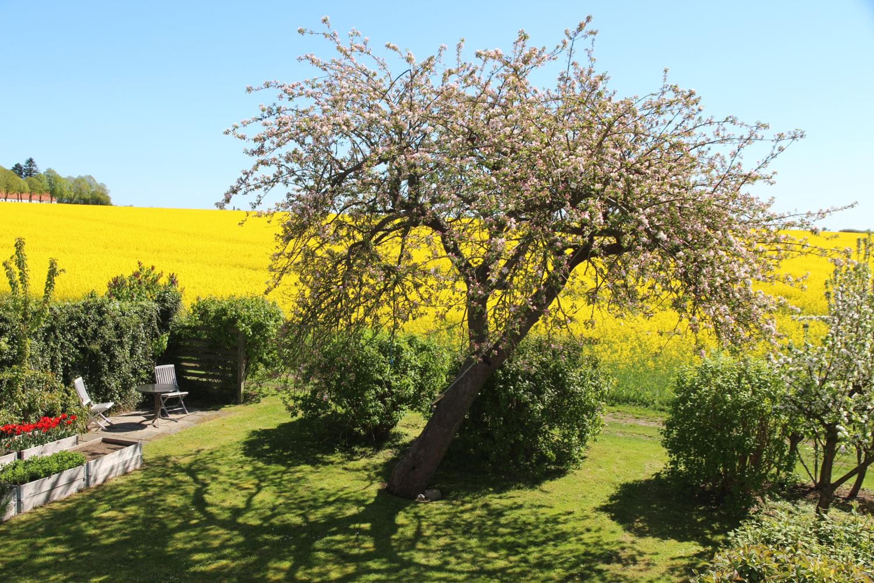 Stevns Klint Strandpension