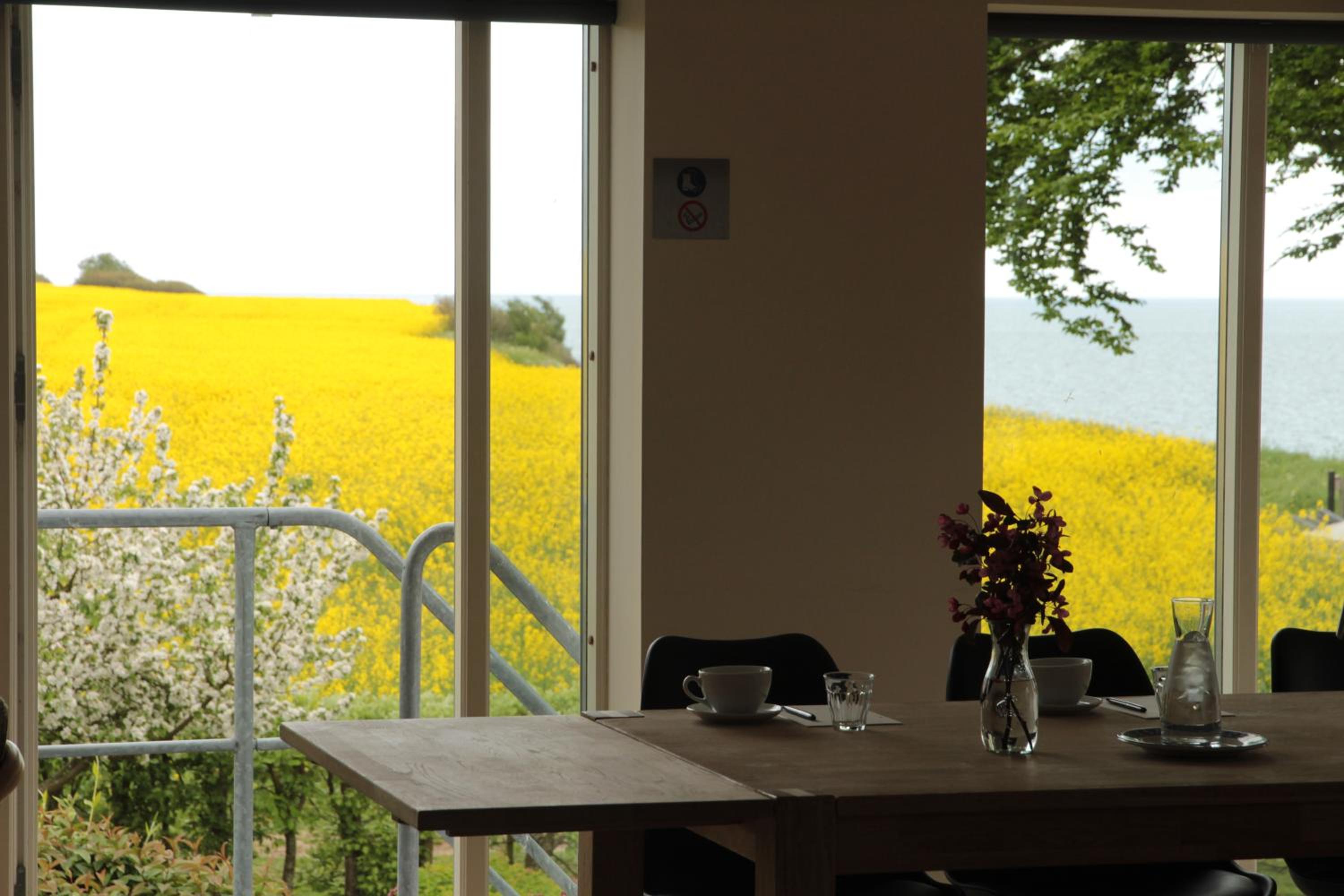Stevns Klint Strandpension