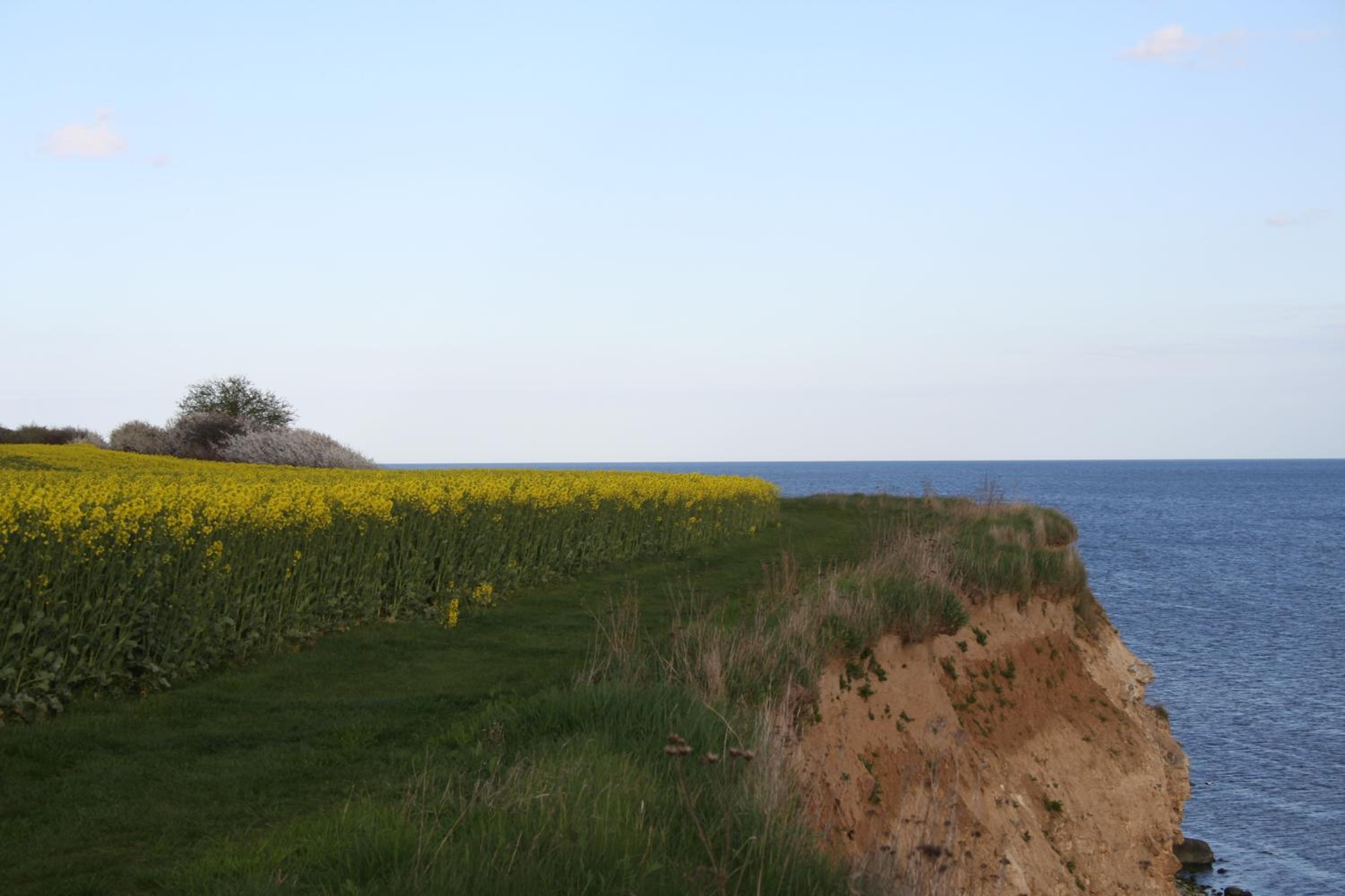 Stevns Klint Strandpension