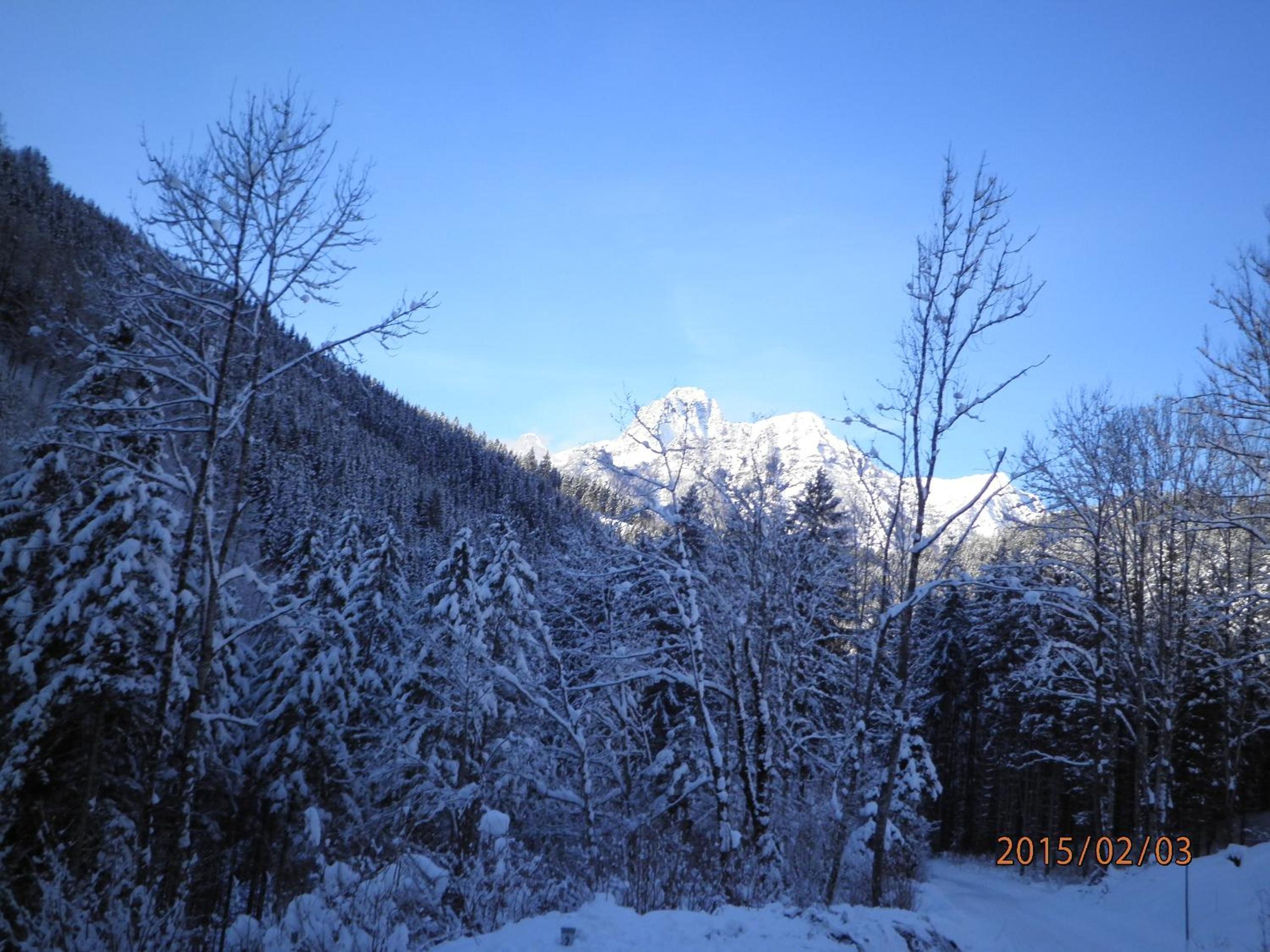 Photo 29