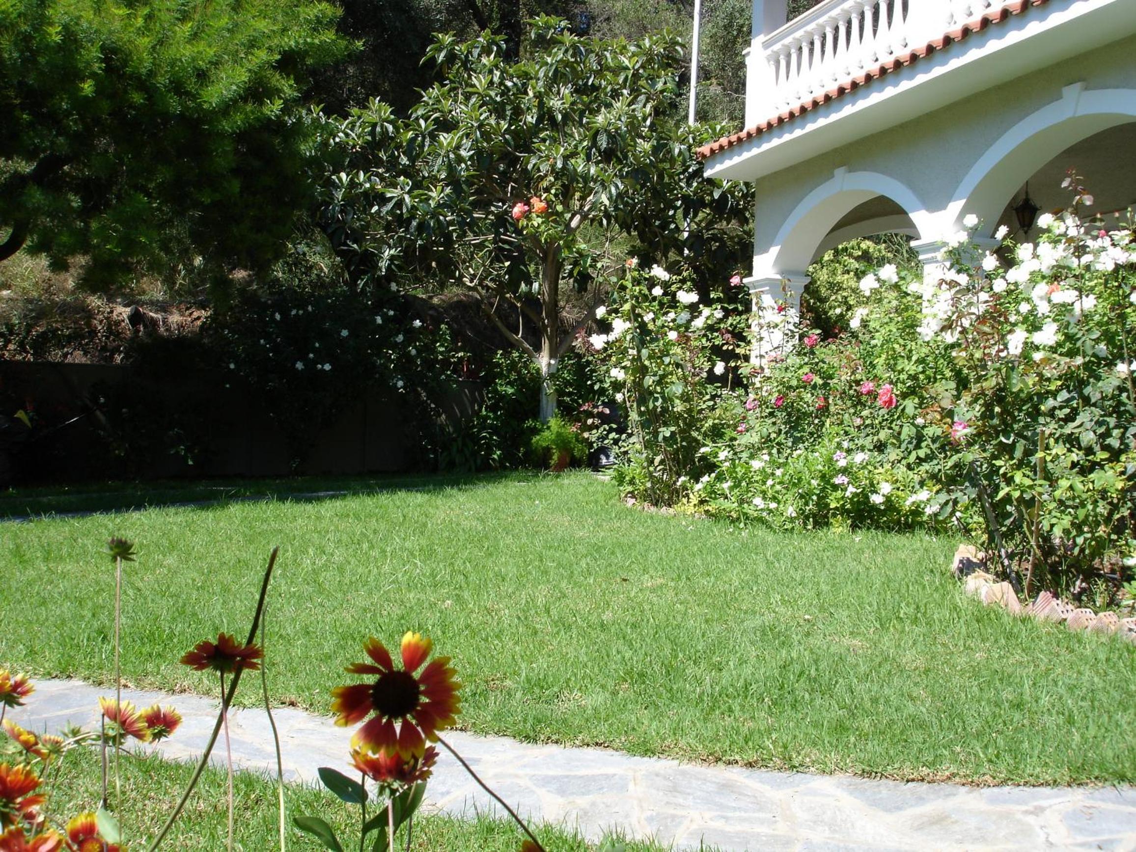 Alexandros Apartments & Studios view 5