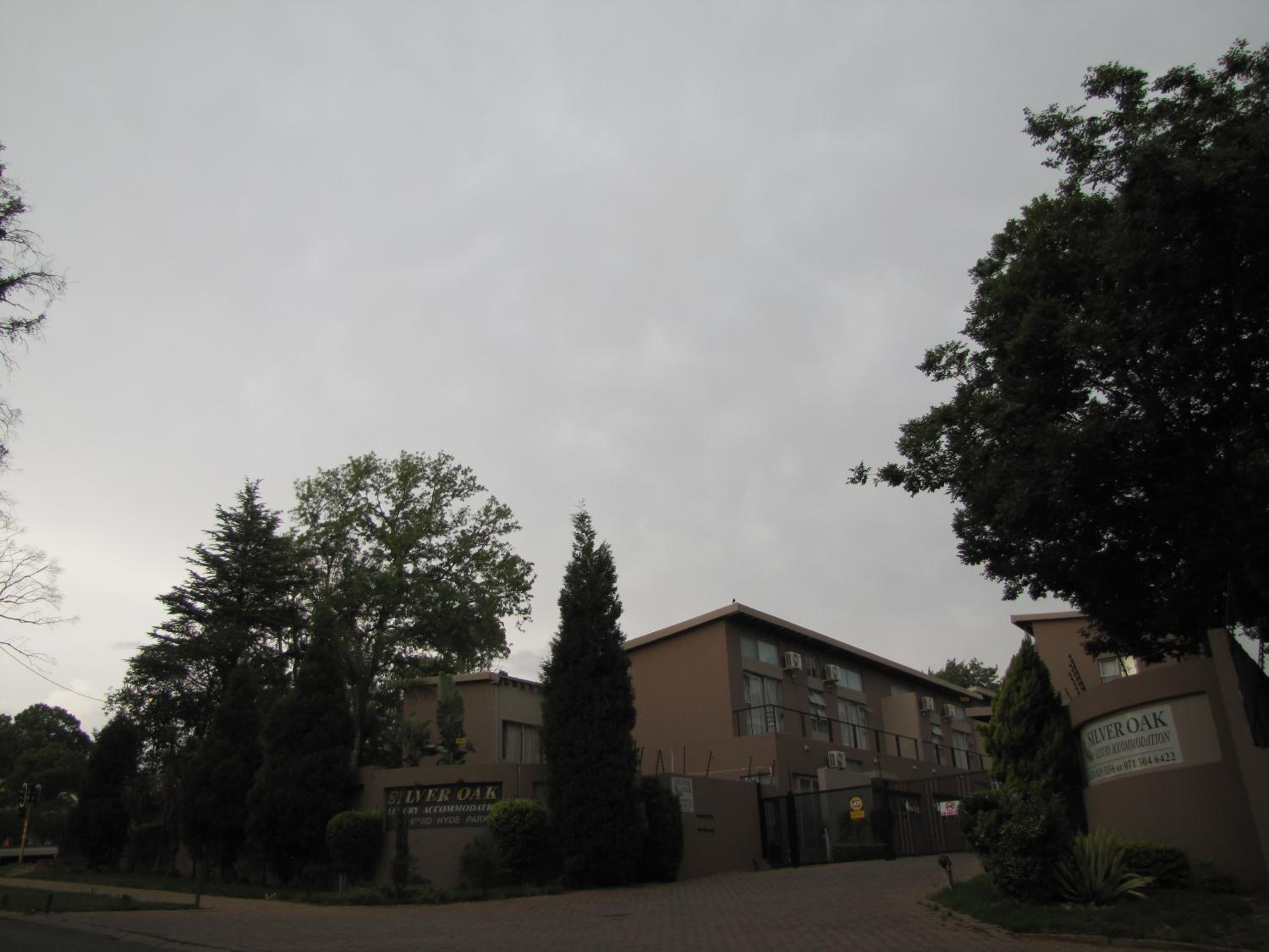 Silver Oak photo 4