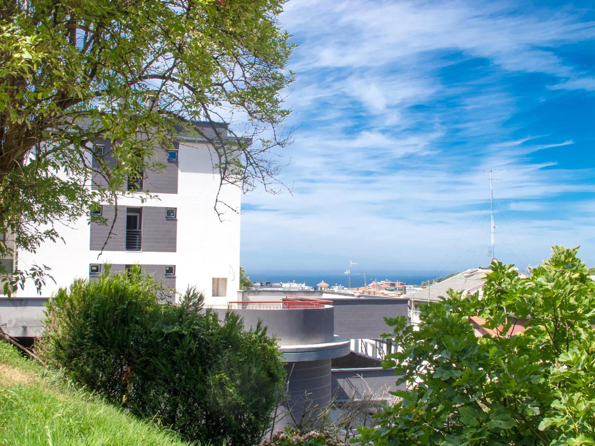 Cats Hostel San Sebastian