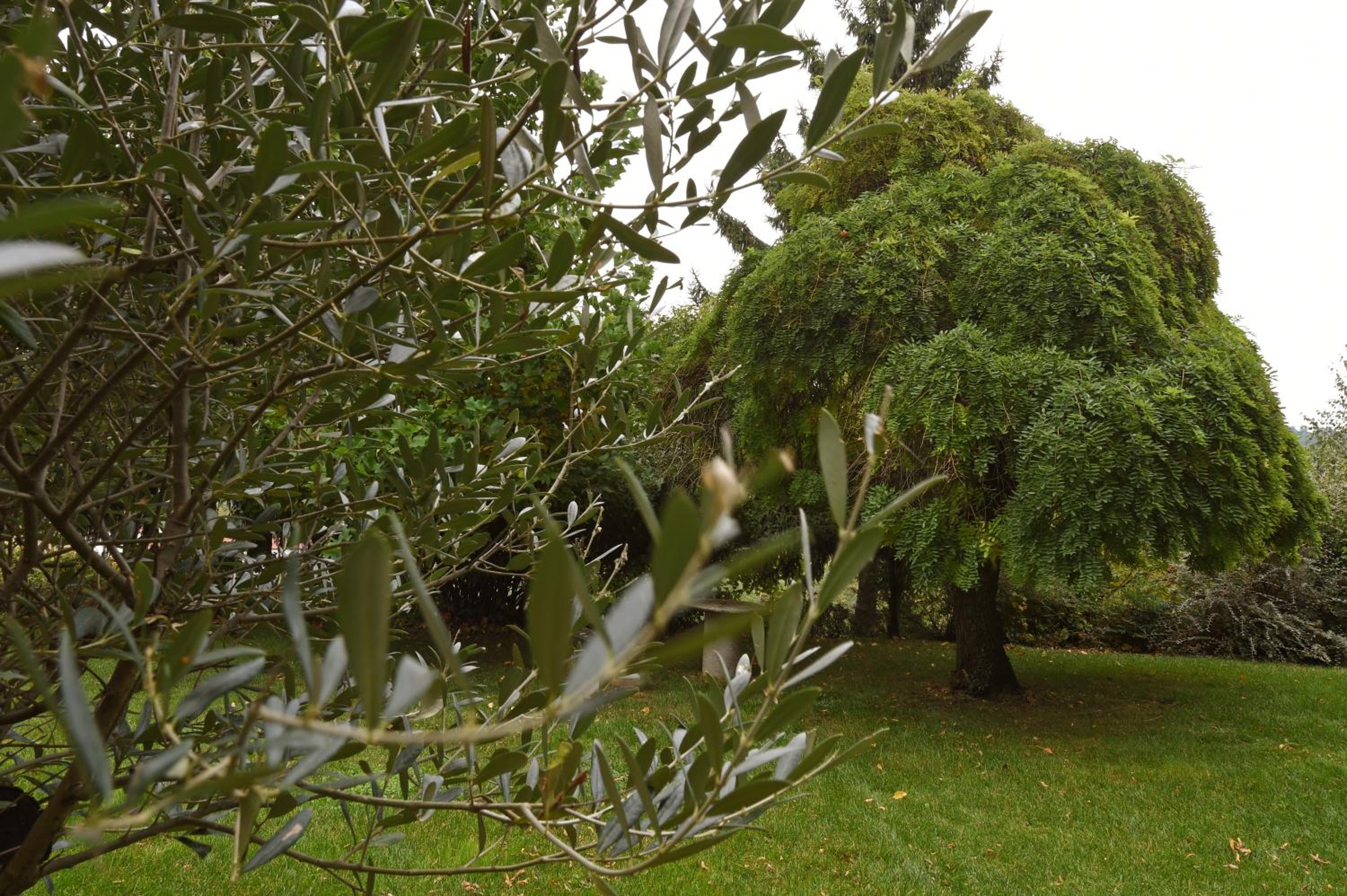 Villa Durando