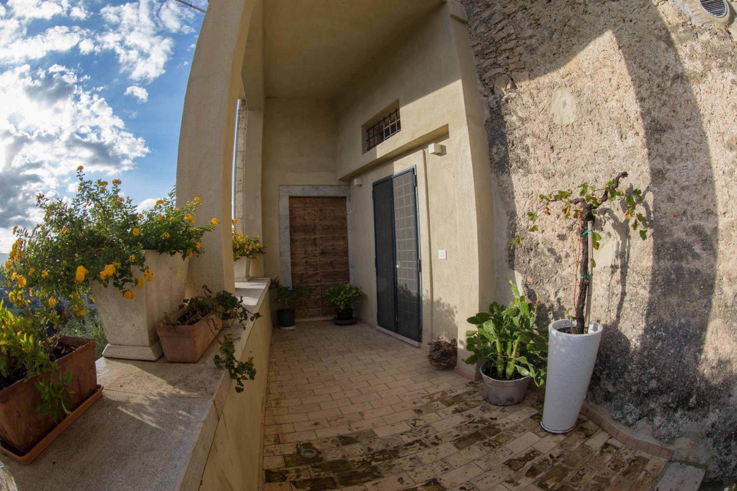 Photo 185