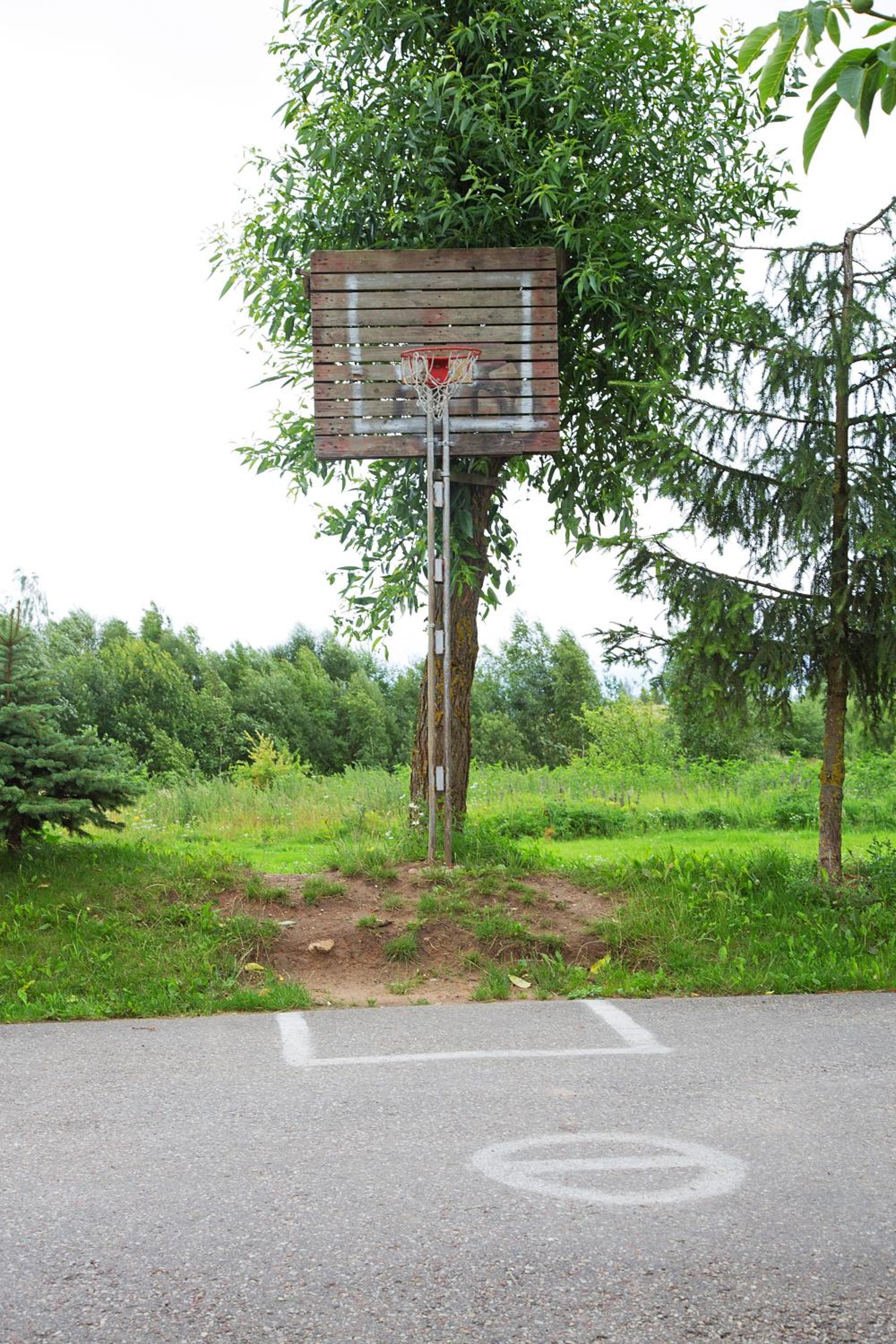 Photo 19