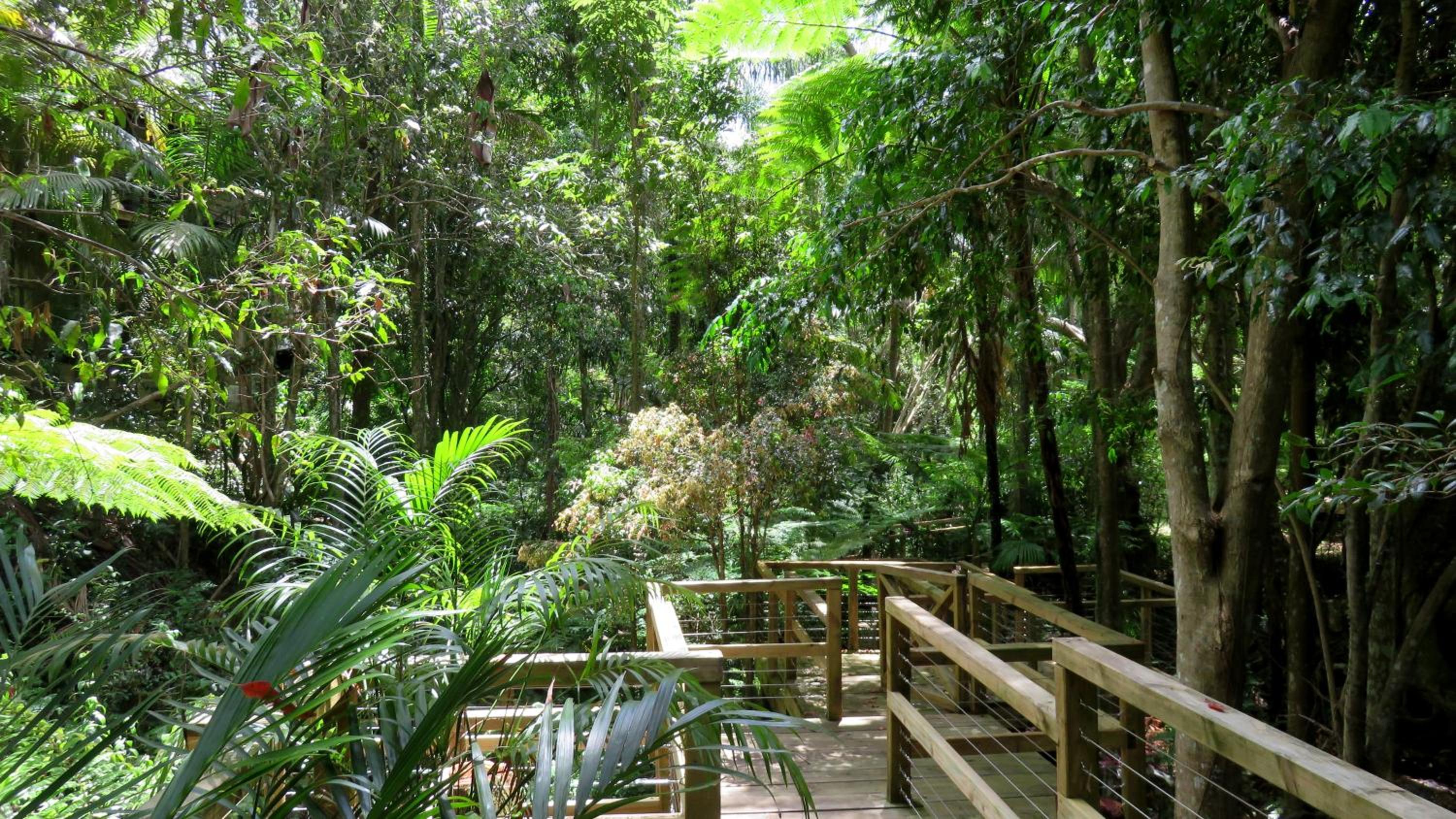 Treetops Montville
