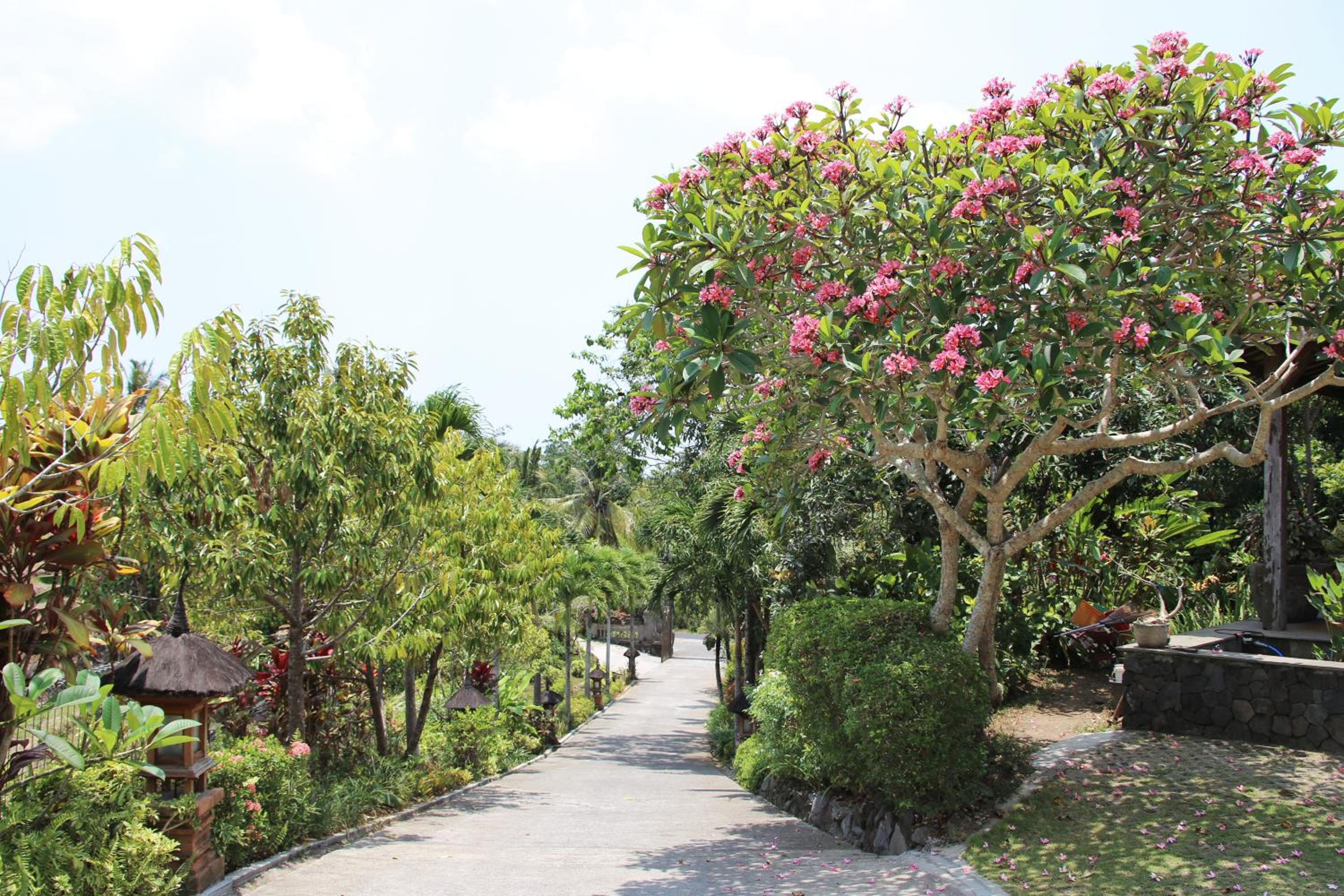 The Sanyas Retreat