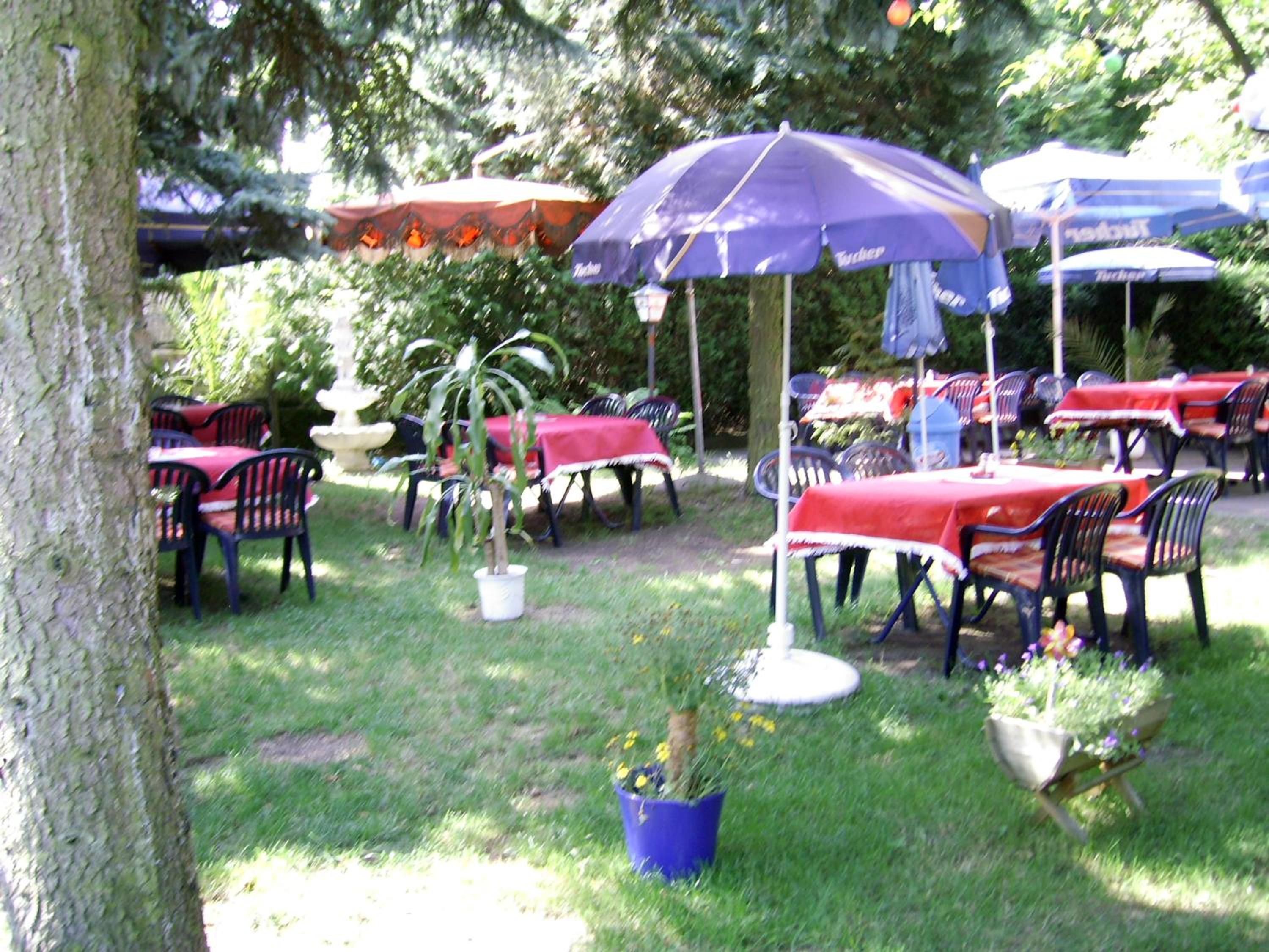 Photo 19