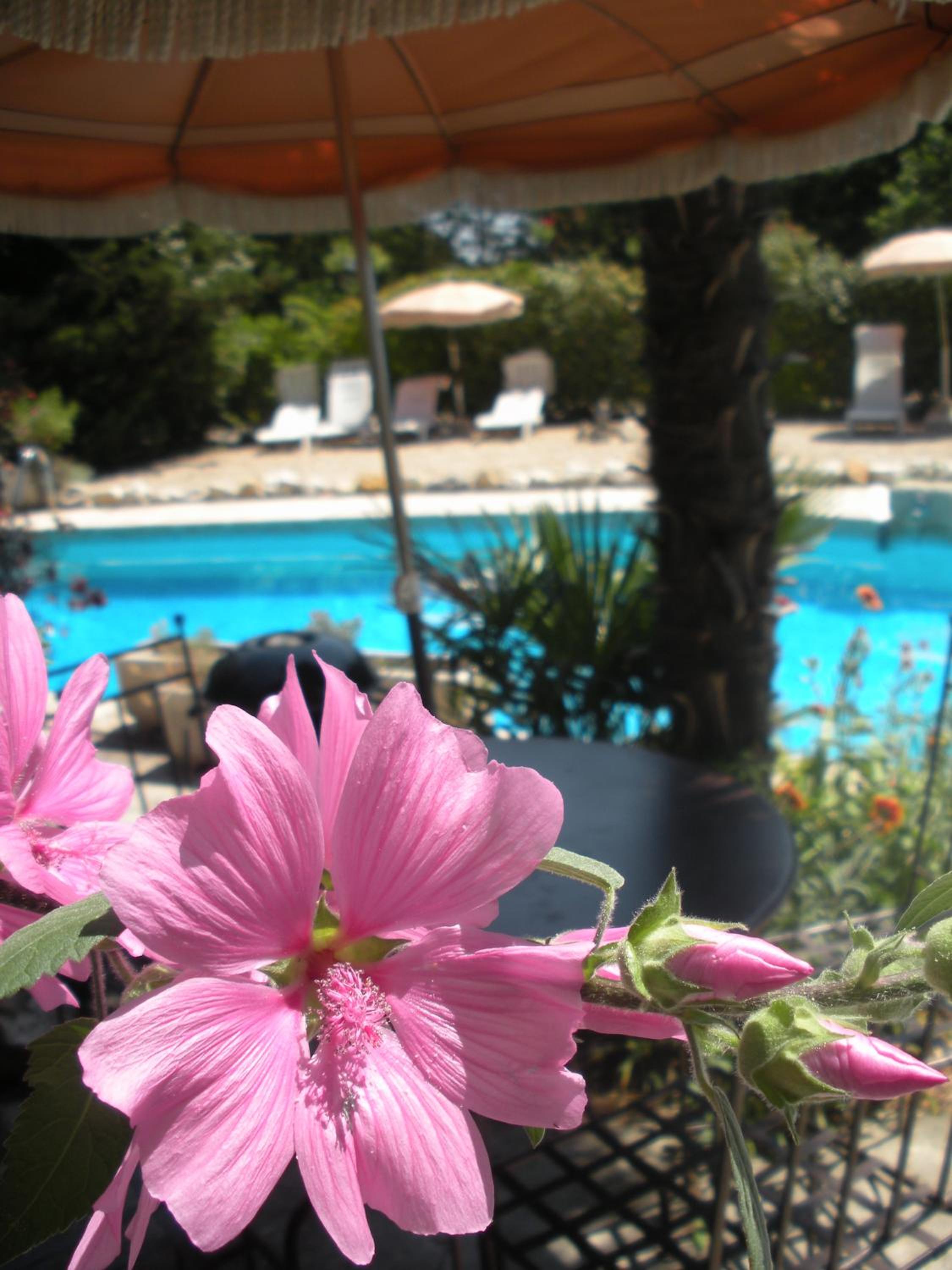 Gites Climatisés Piscine Chauffée La Balancelle, photo 44