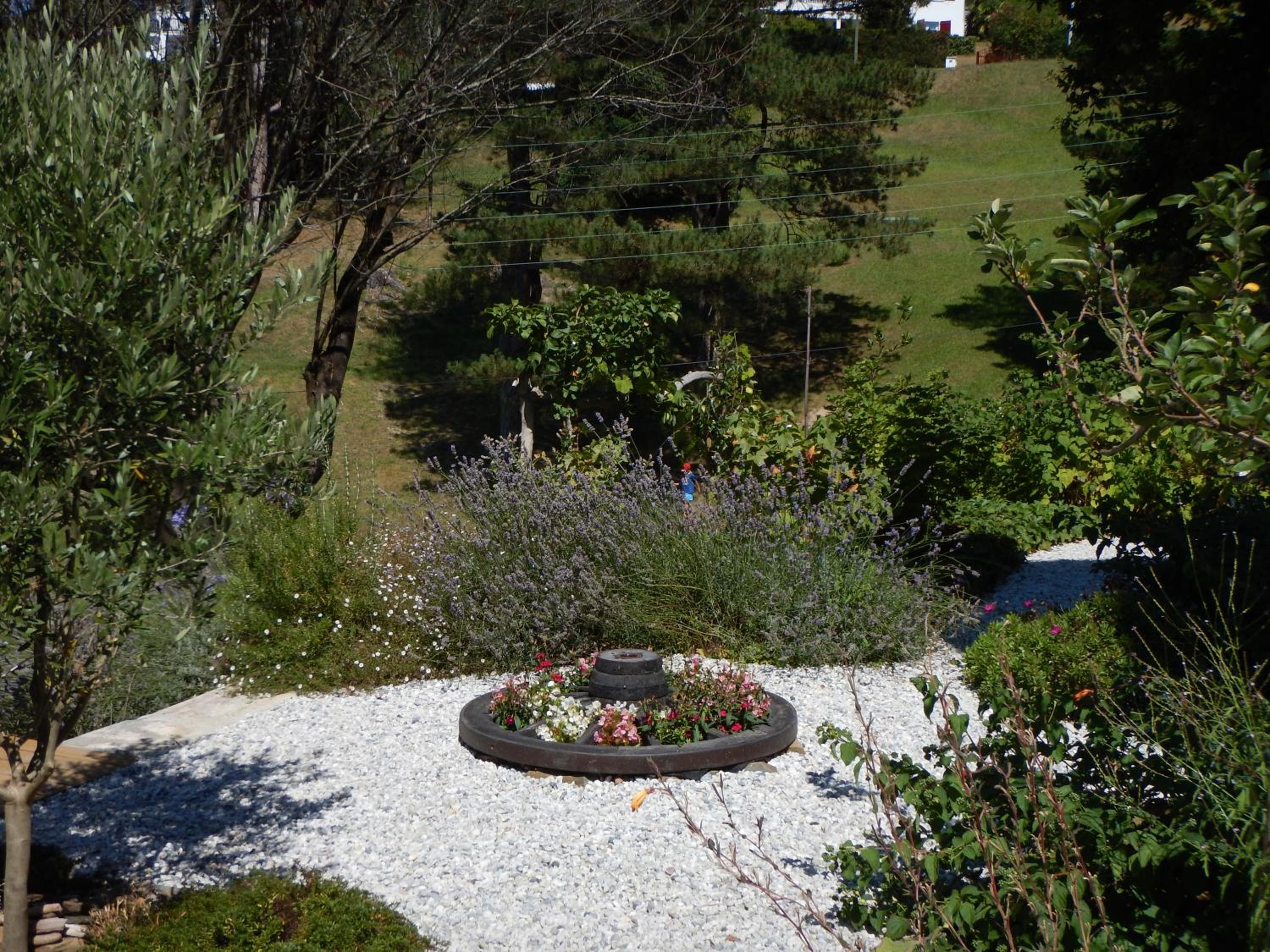 Photo 12