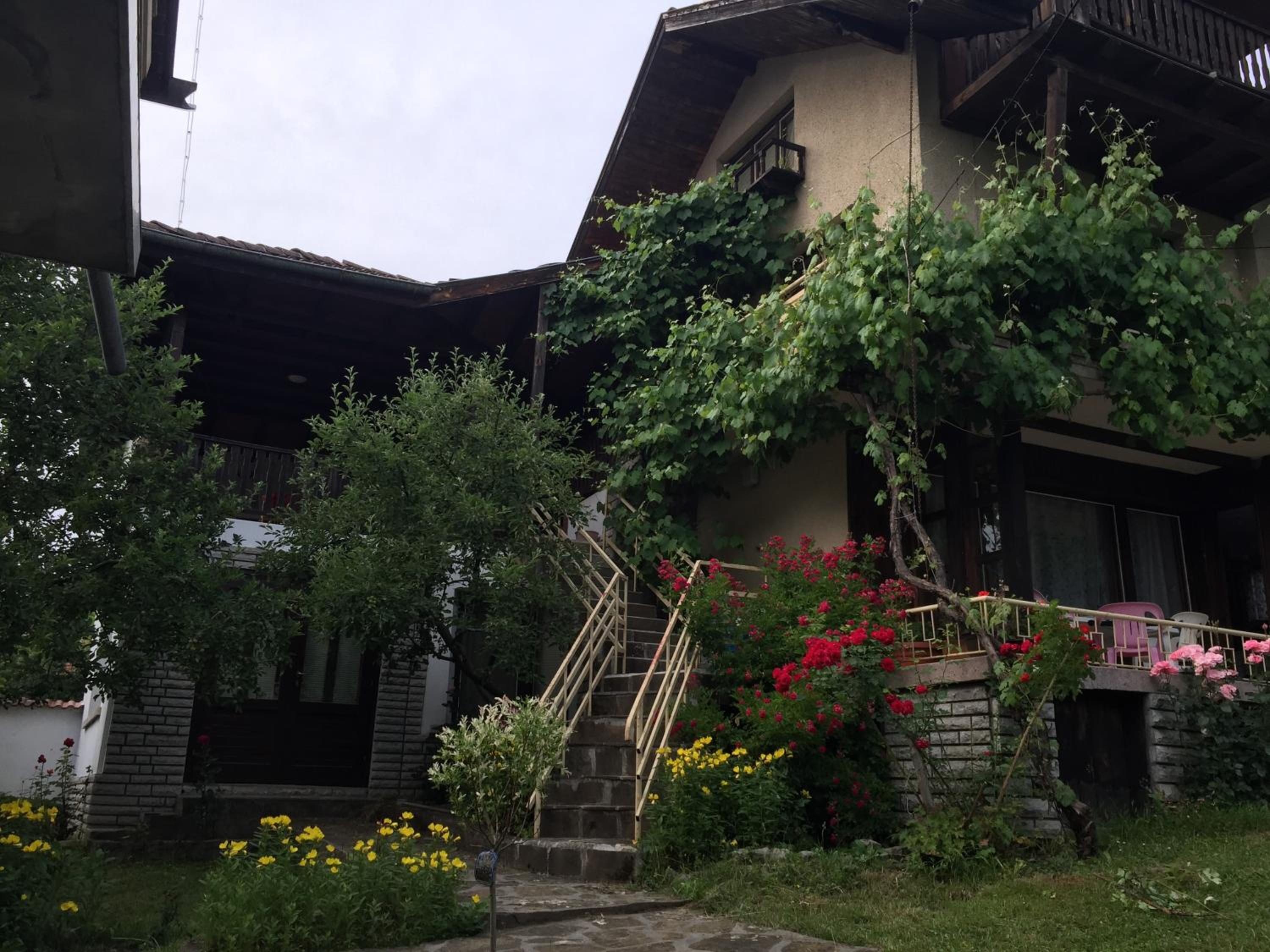 Luylyana Guesthouse