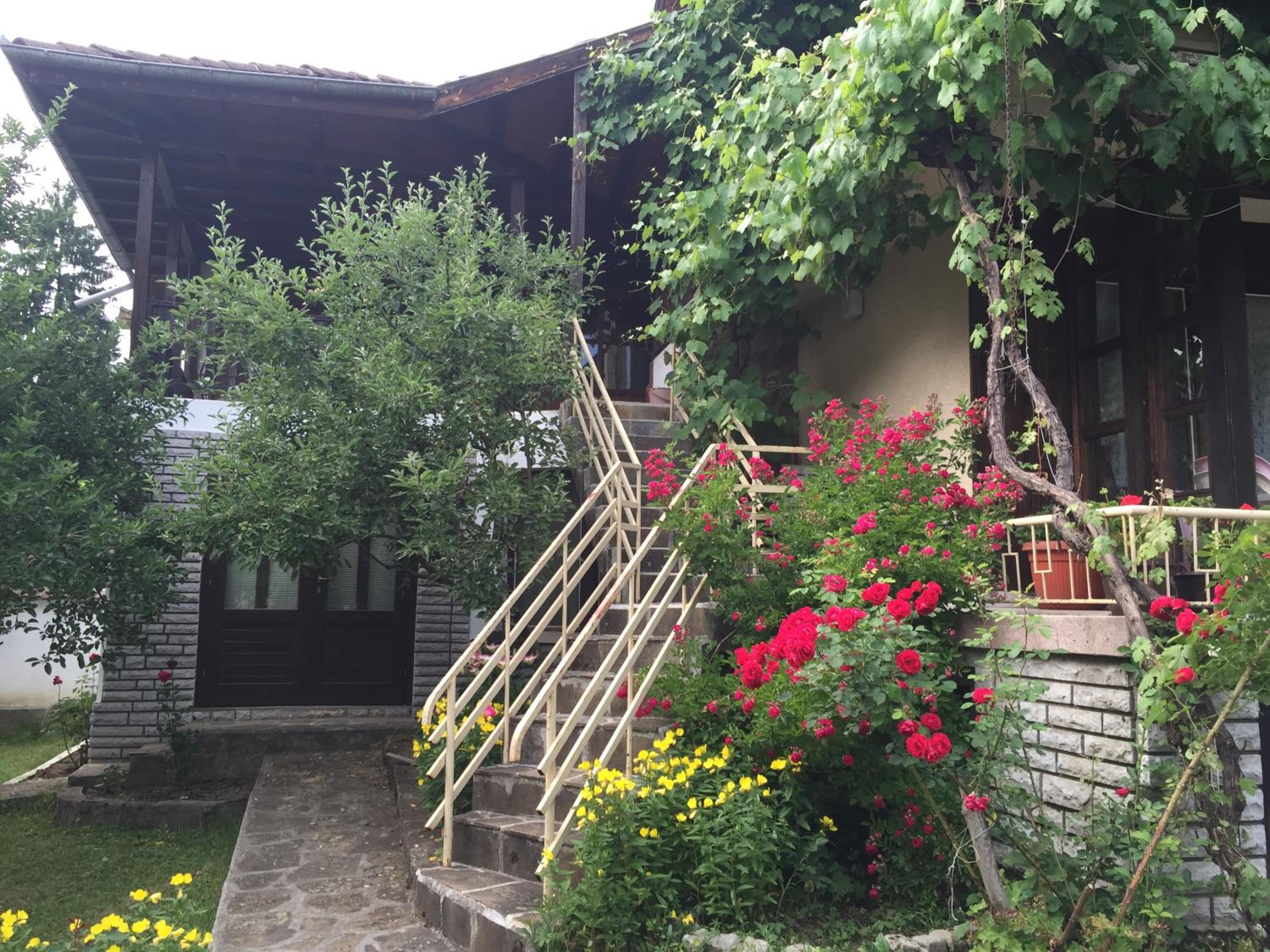 Luylyana Guesthouse