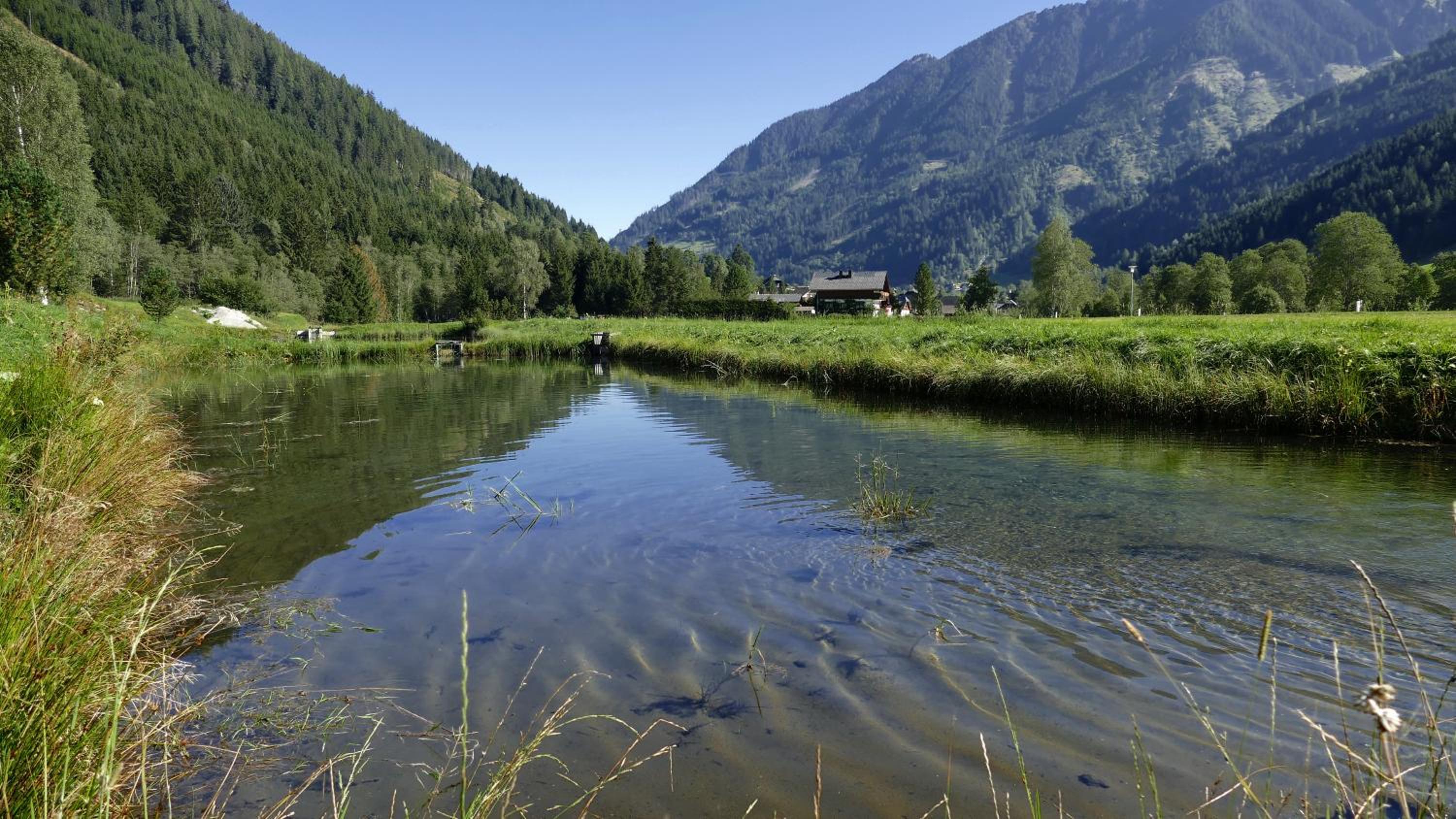 Gasthof zur Gams