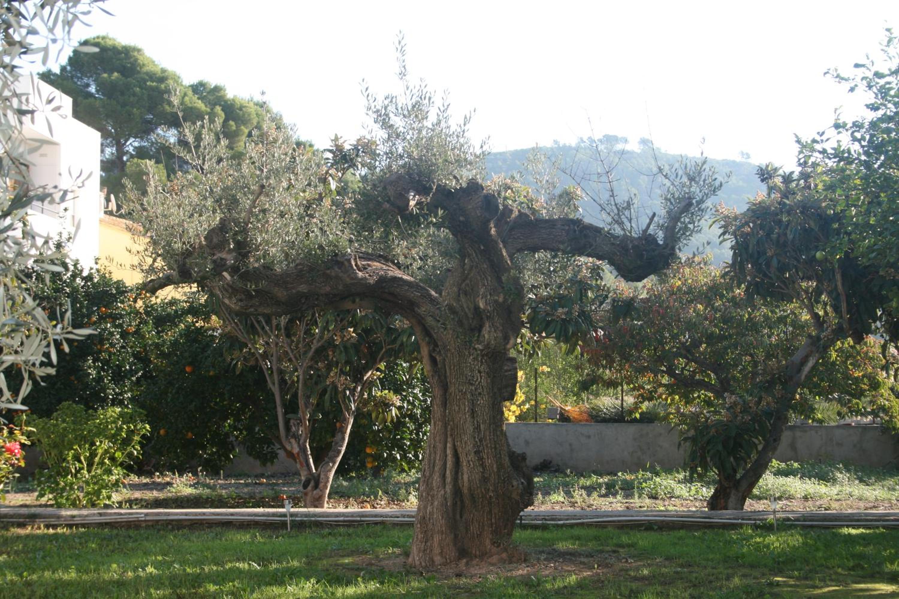 El Campillo, casa de campo cerca de la playa